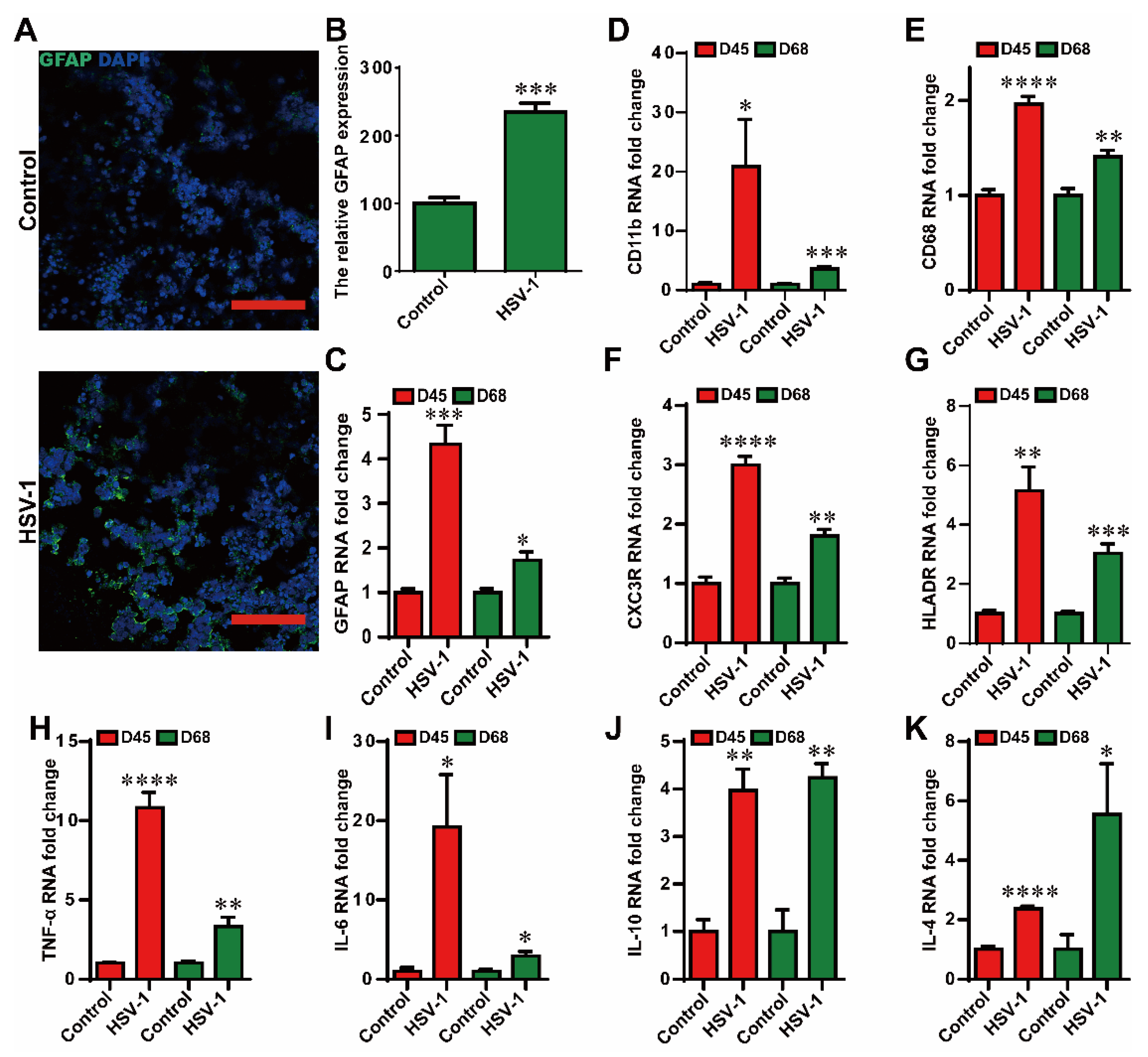 Ijms 23 05981 g004 550