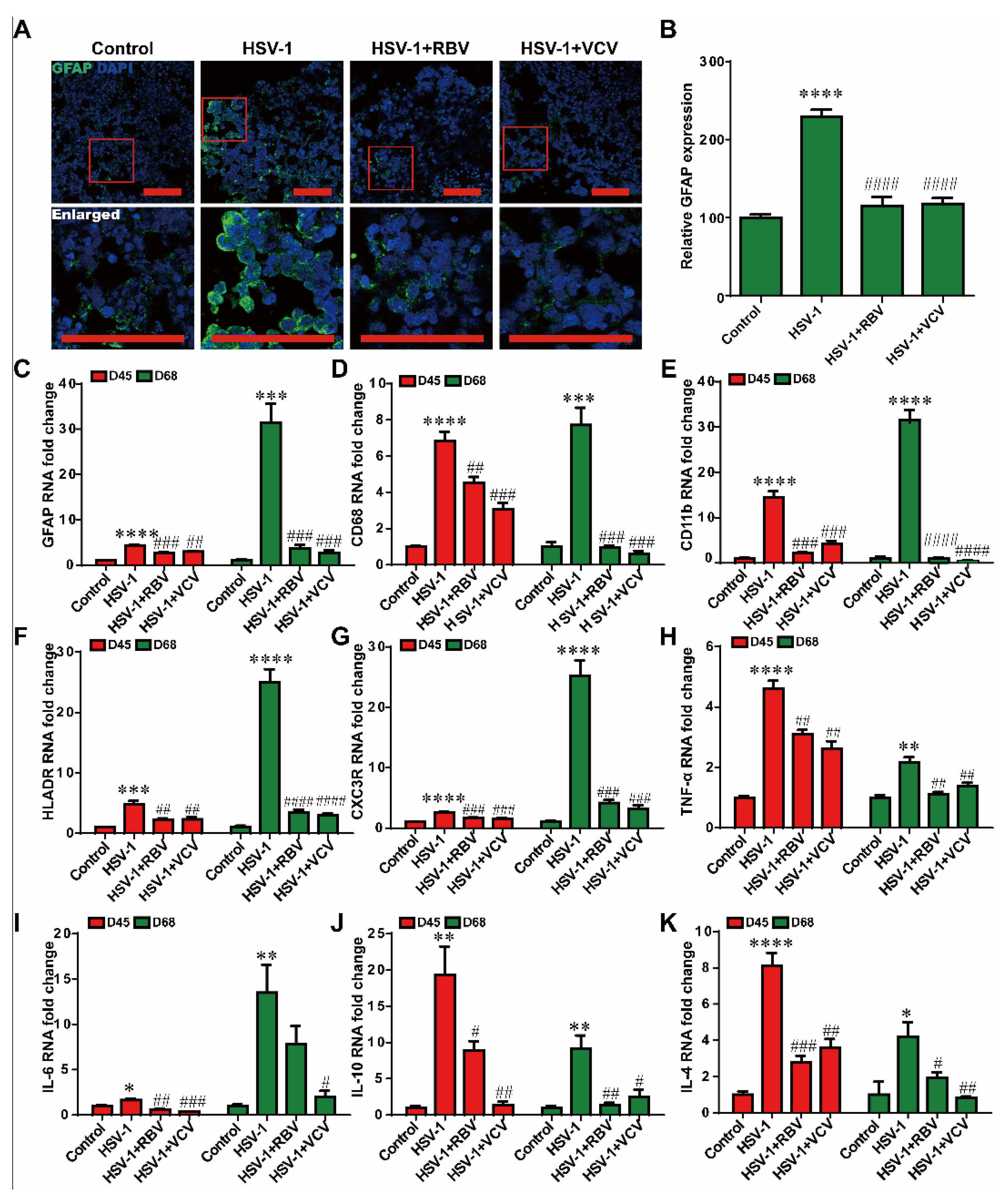 Ijms 23 05981 g006 550