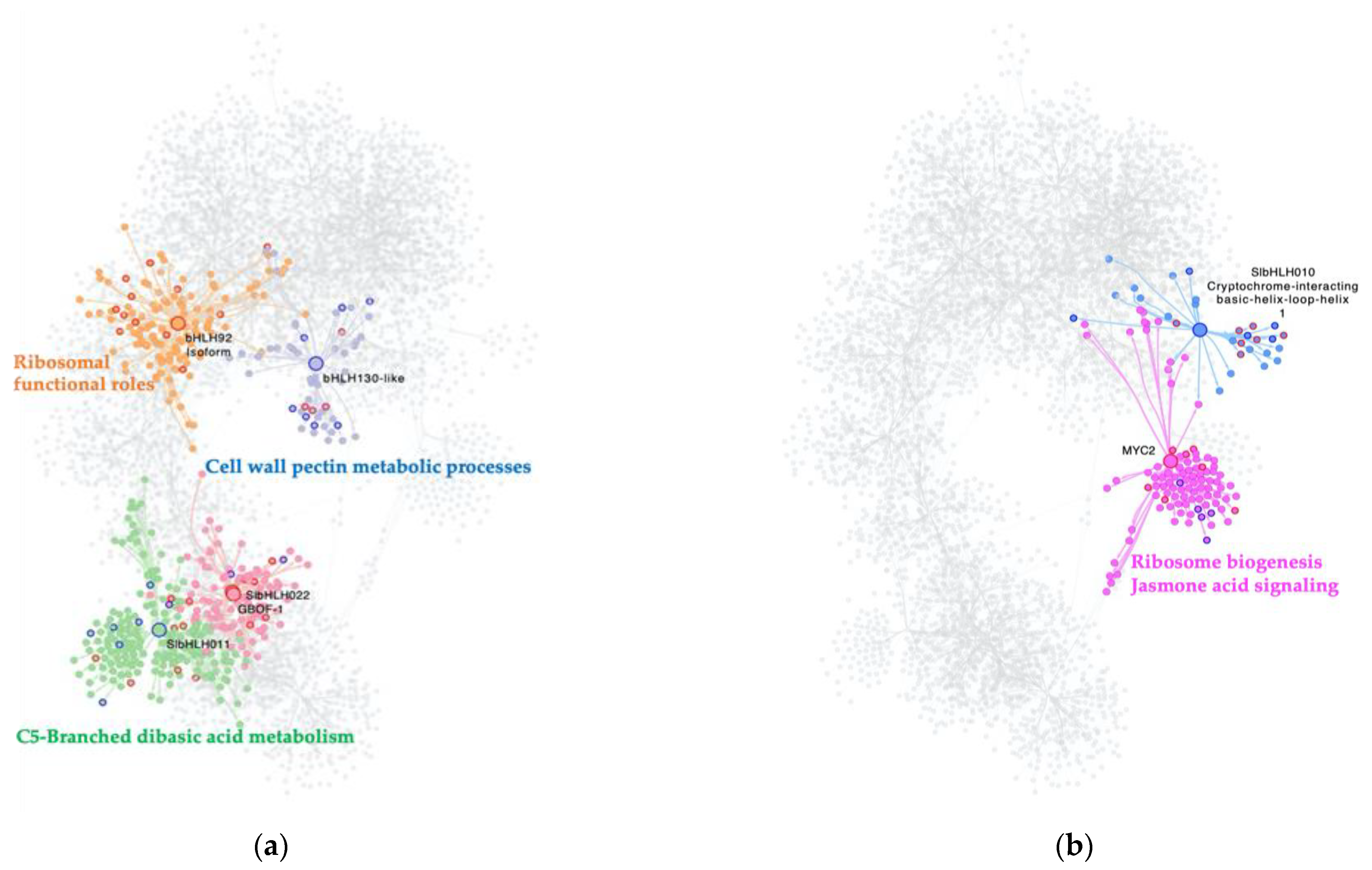 Ijms 23 05983 g002 550