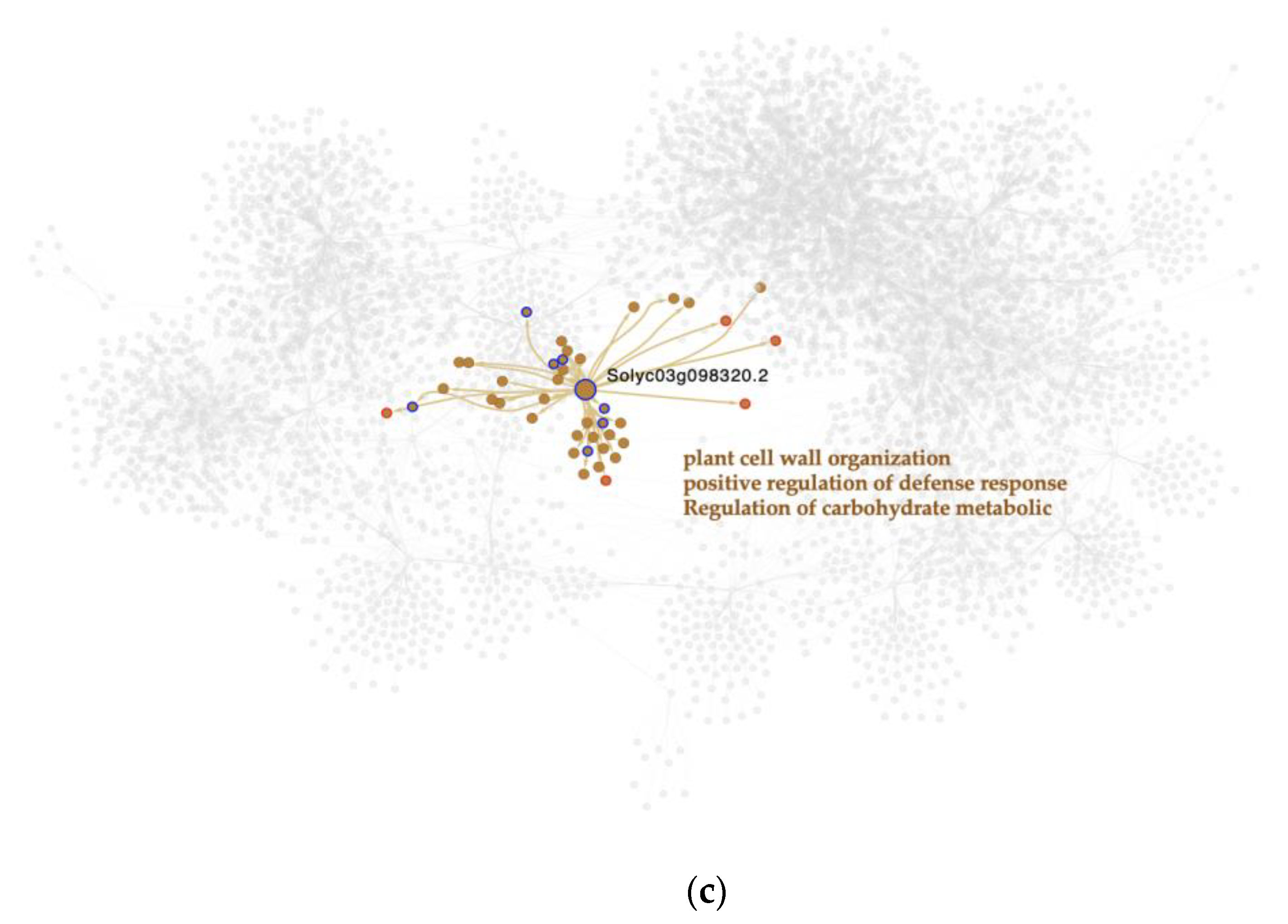 Ijms 23 05983 g003b 550