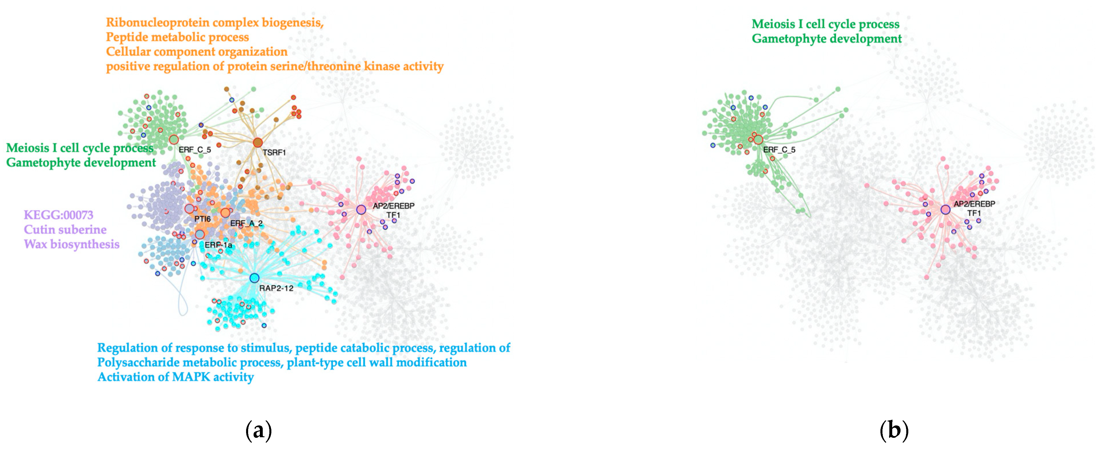 Ijms 23 05983 g004 550