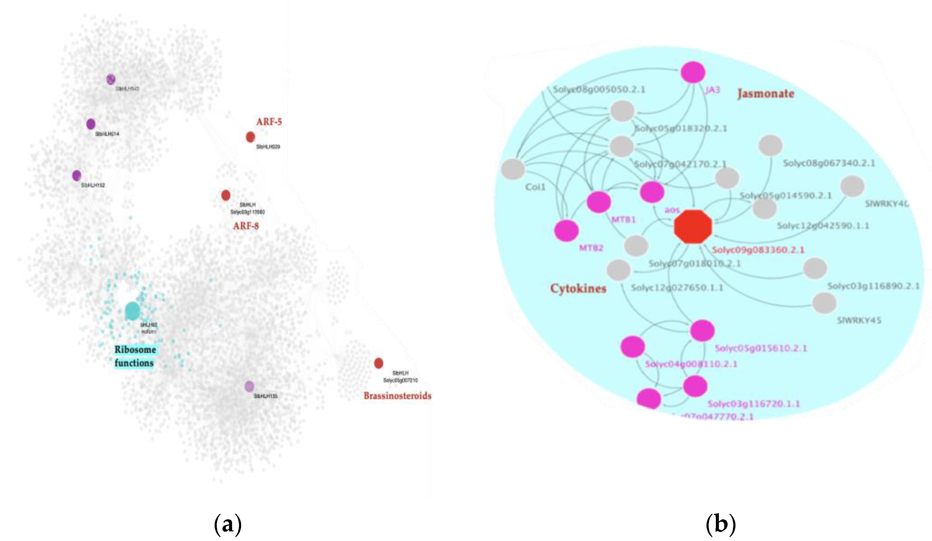 Ijms 23 05983 g006 550