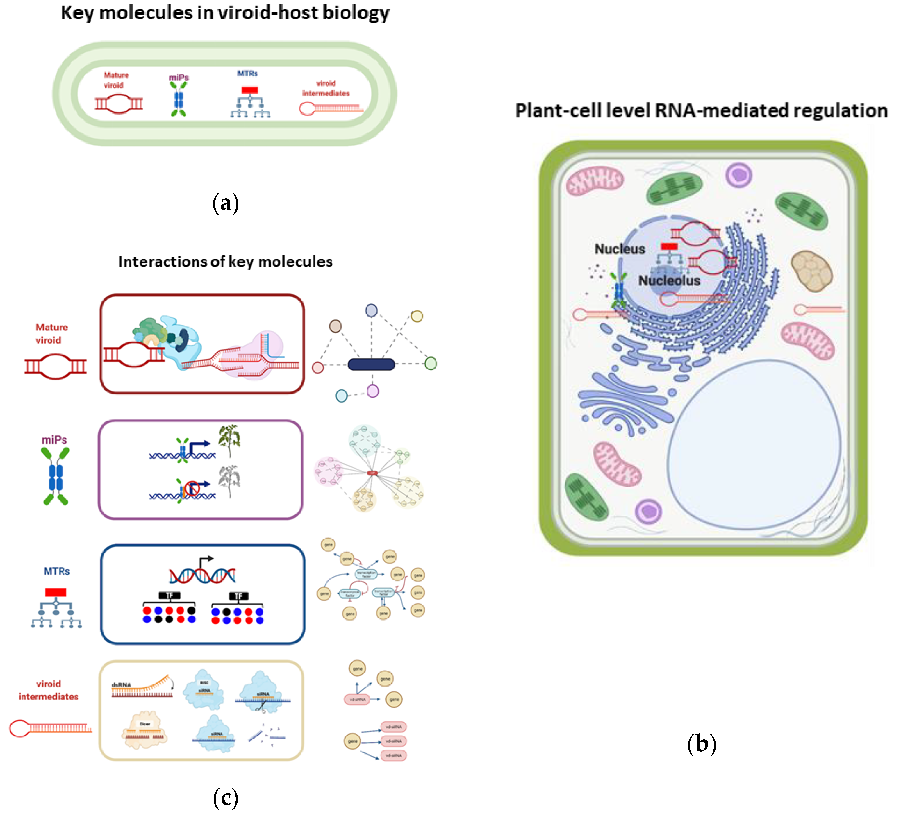 Ijms 23 05983 g009 550
