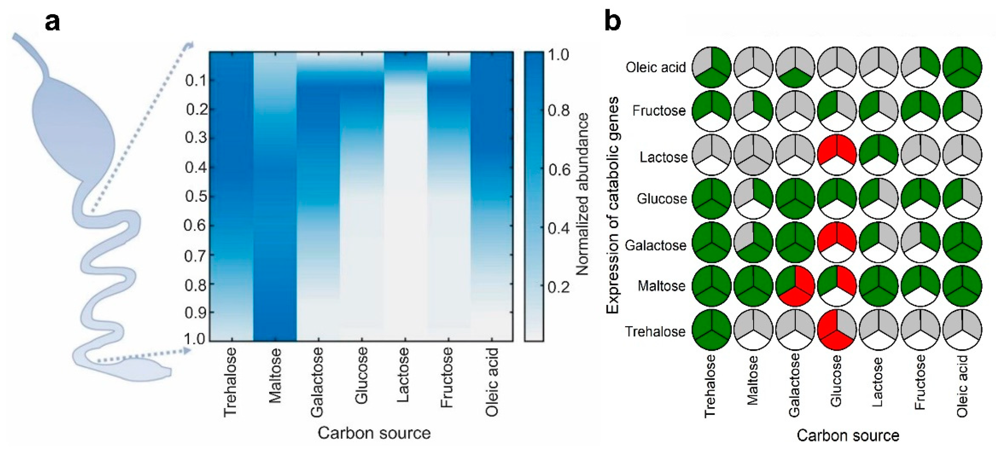 Ijms 23 05985 g002 550