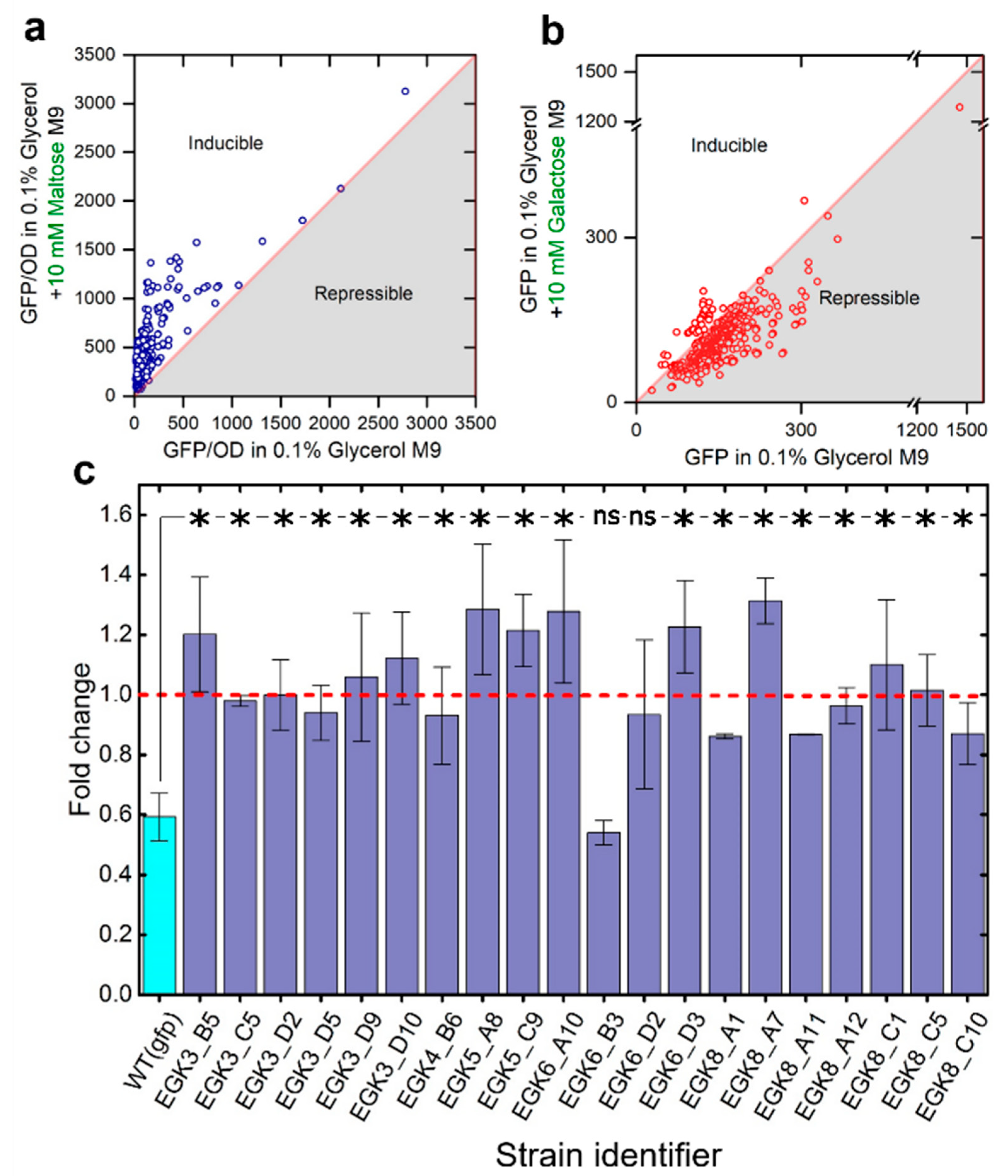 Ijms 23 05985 g003 550