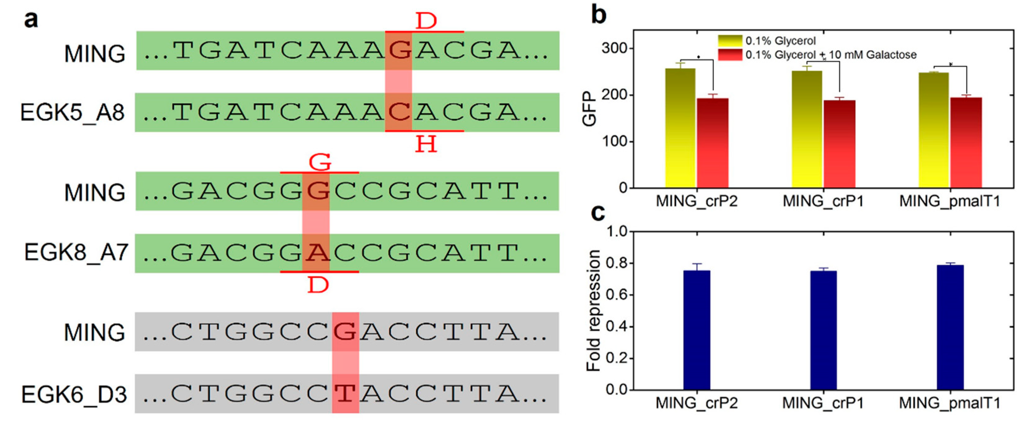 Ijms 23 05985 g004 550