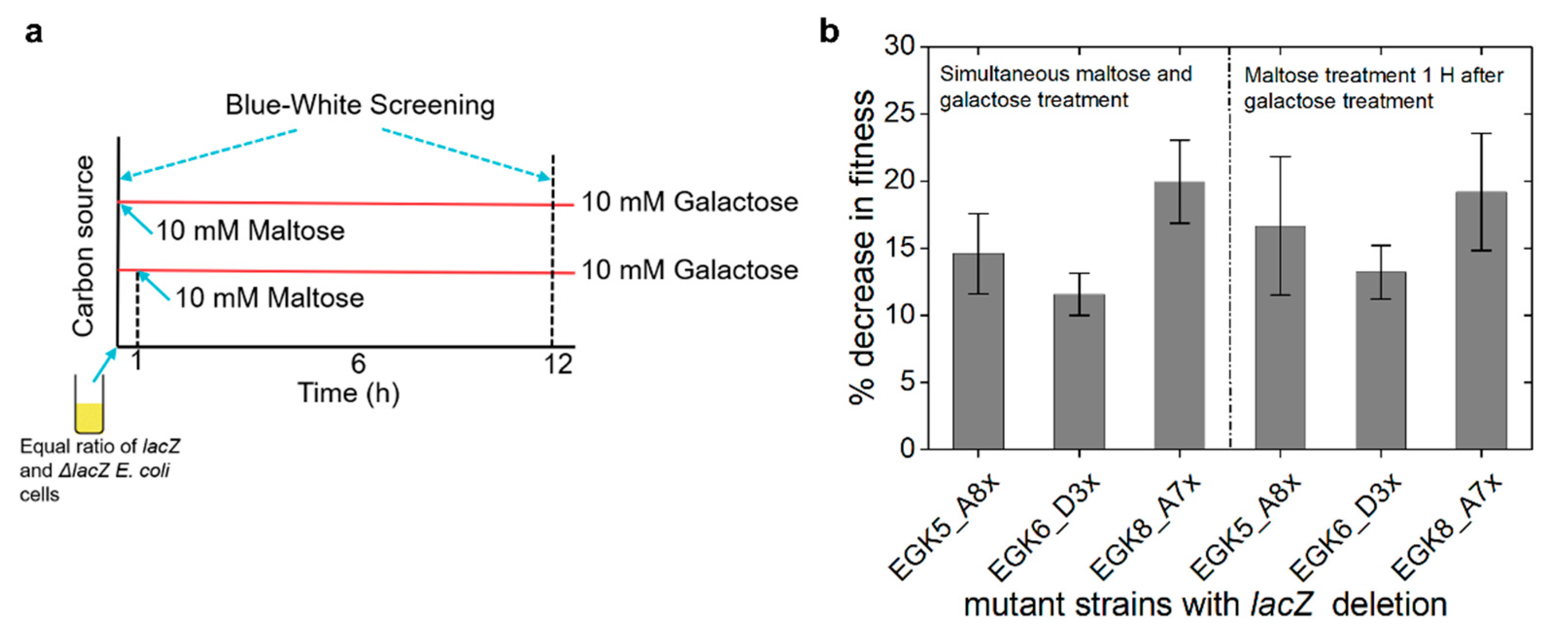 Ijms 23 05985 g005 550