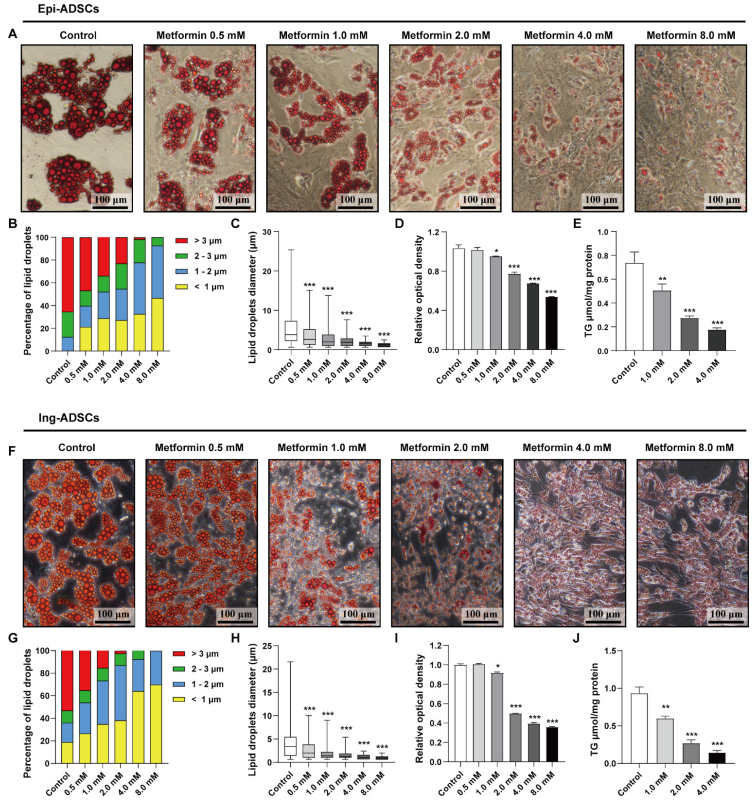 Ijms 23 05986 g001 550