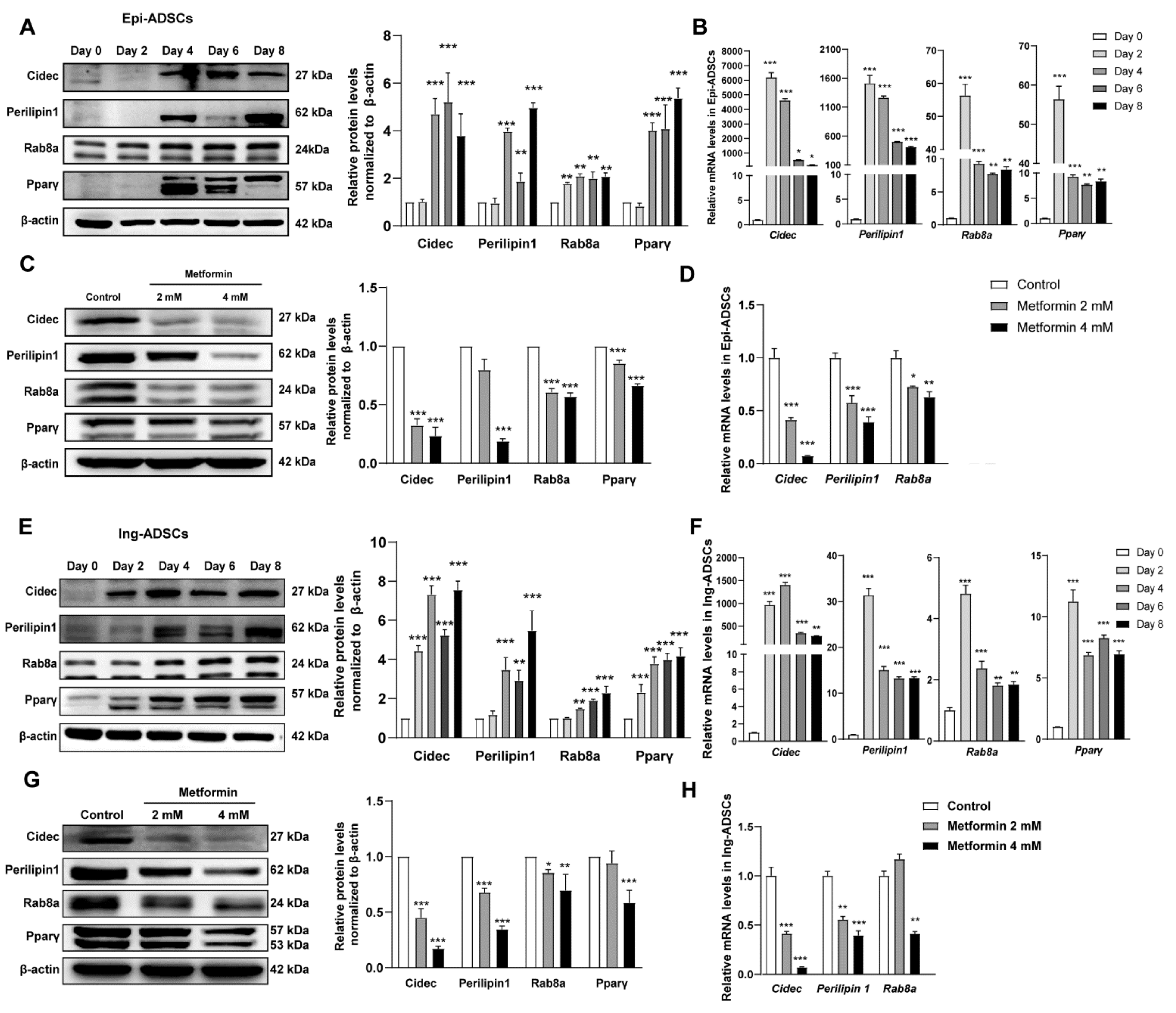 Ijms 23 05986 g004 550