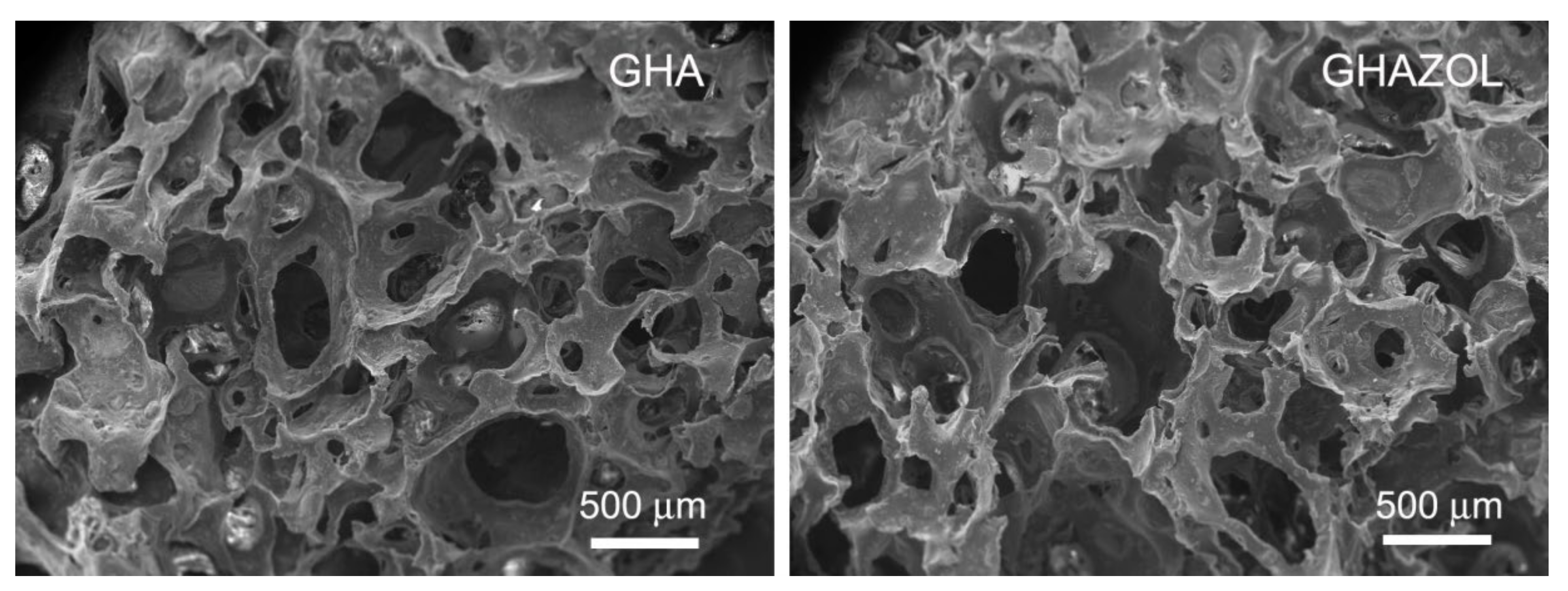 Ijms 23 05988 g003 550