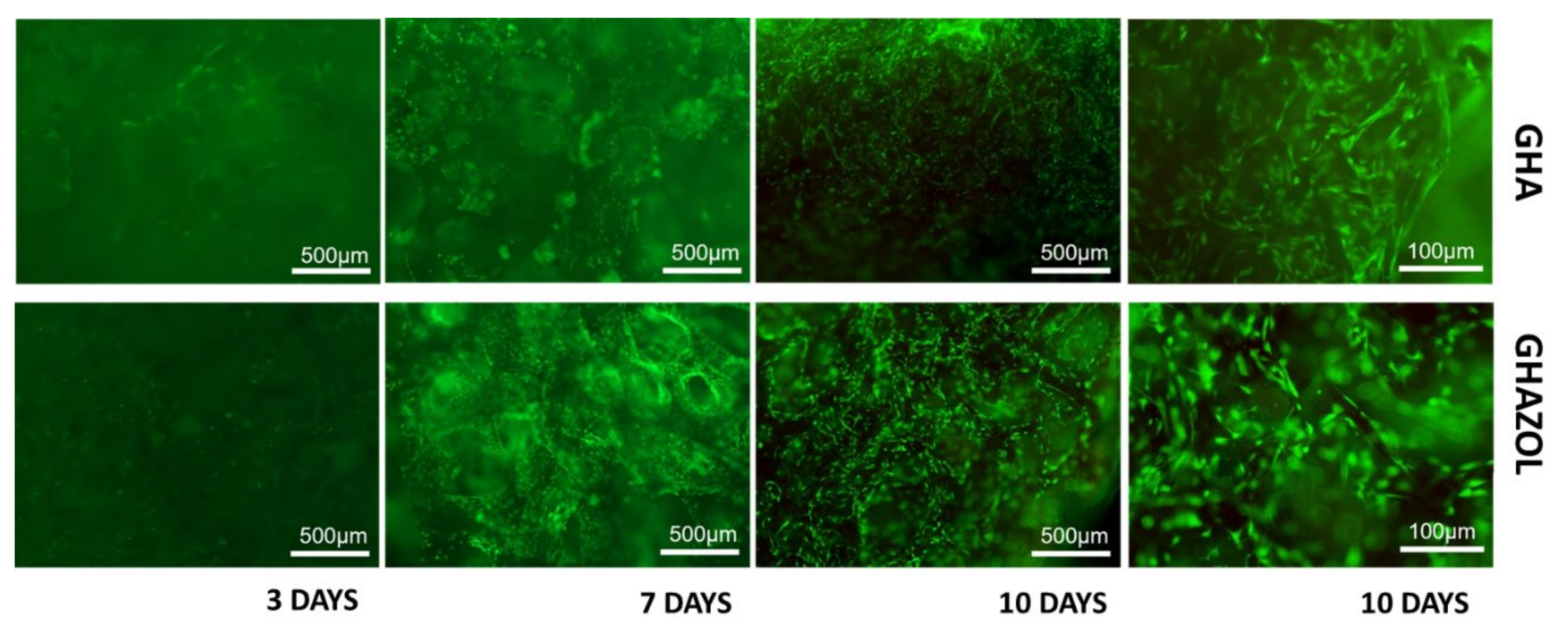 Ijms 23 05988 g004 550