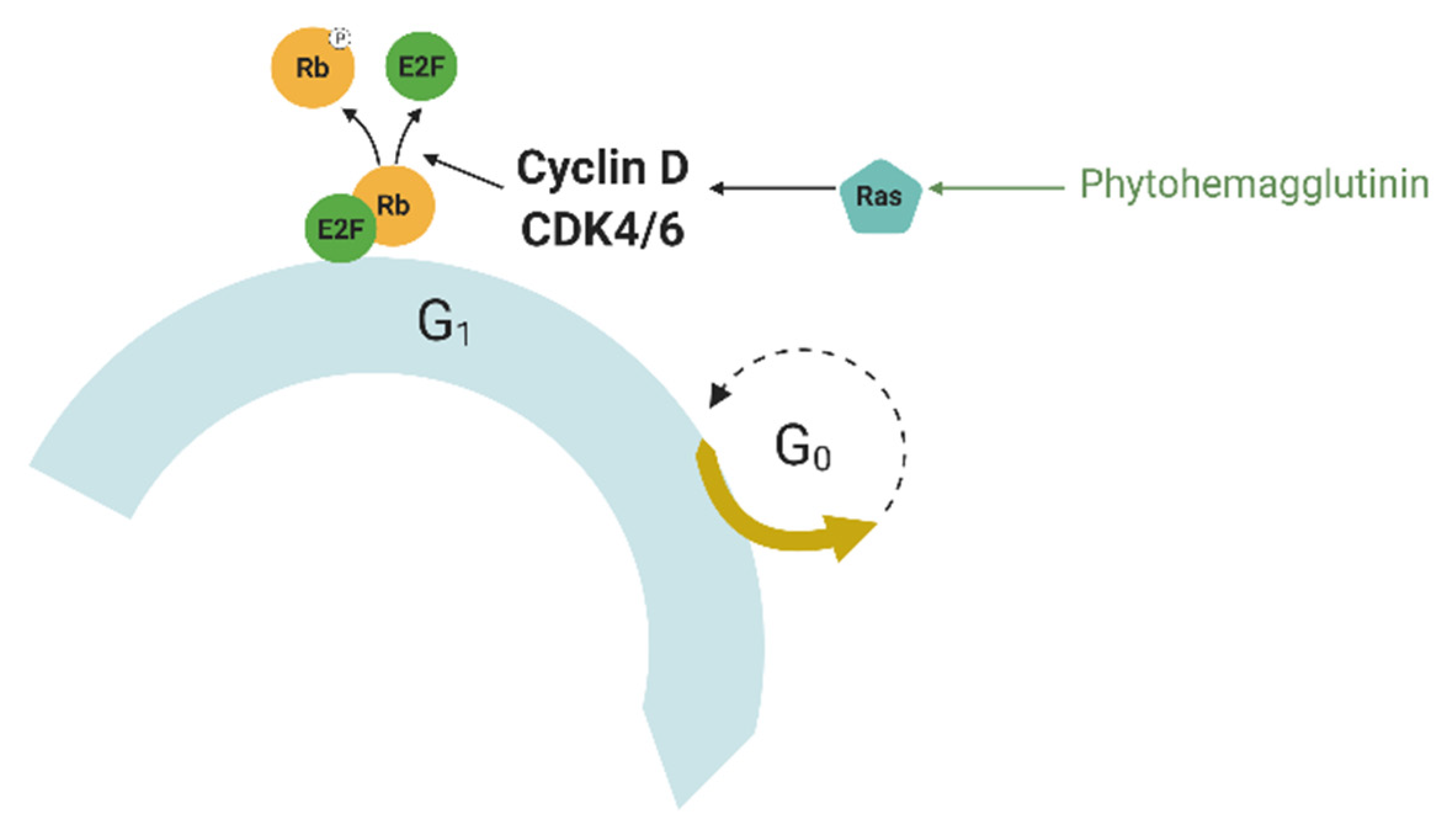 Ijms 23 05992 g003 550