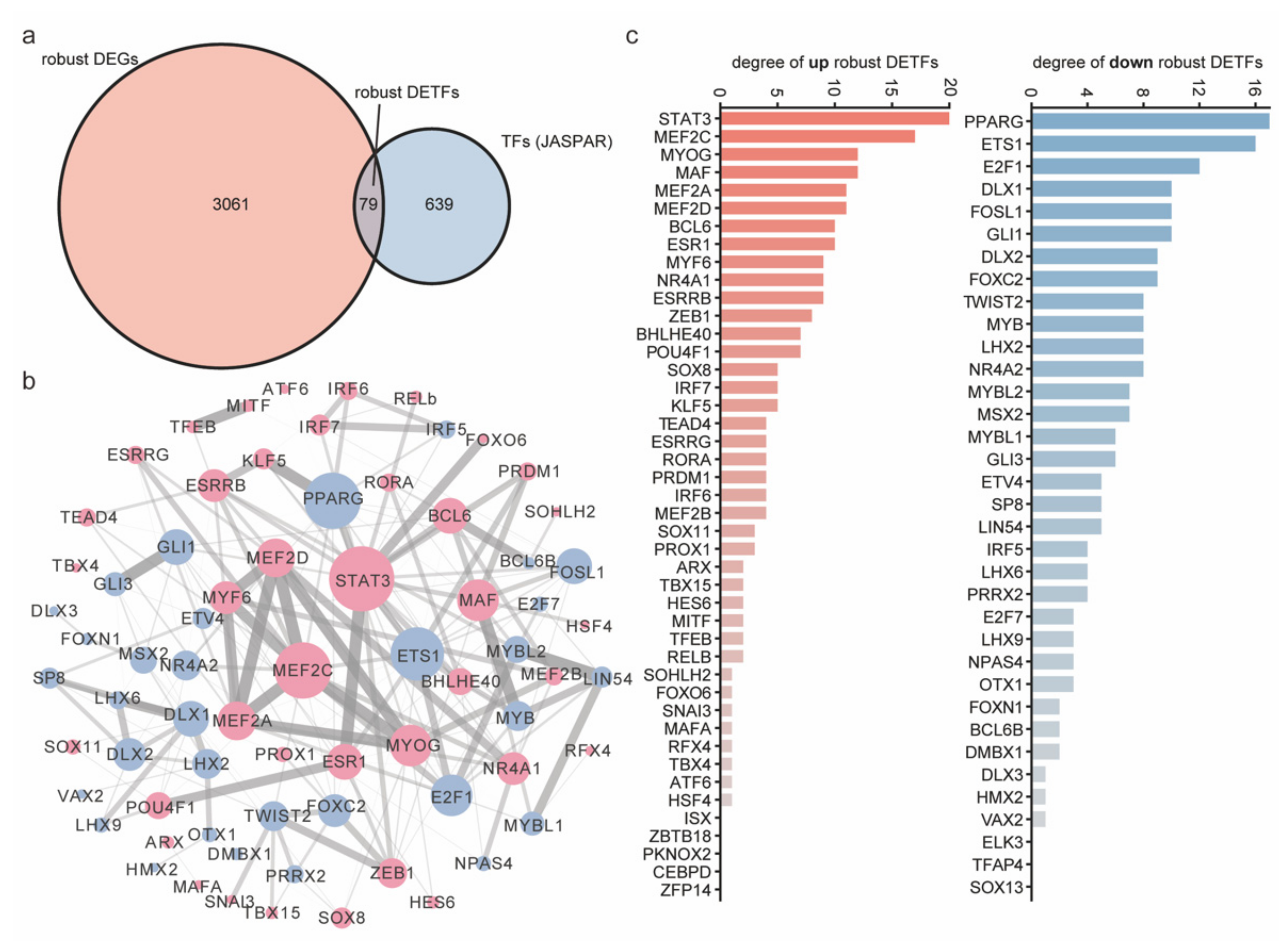 Ijms 23 06002 g006 550