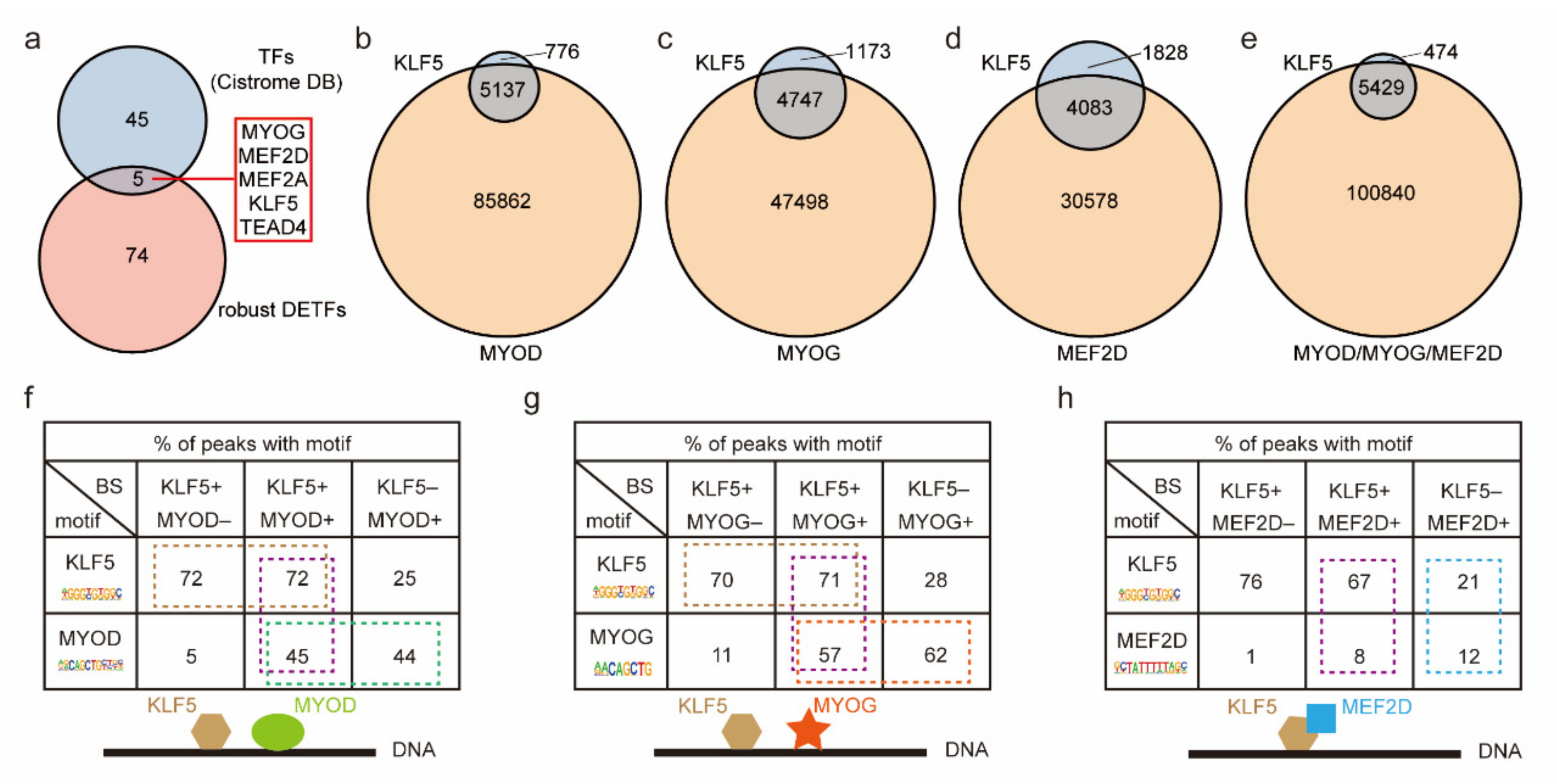 Ijms 23 06002 g007 550