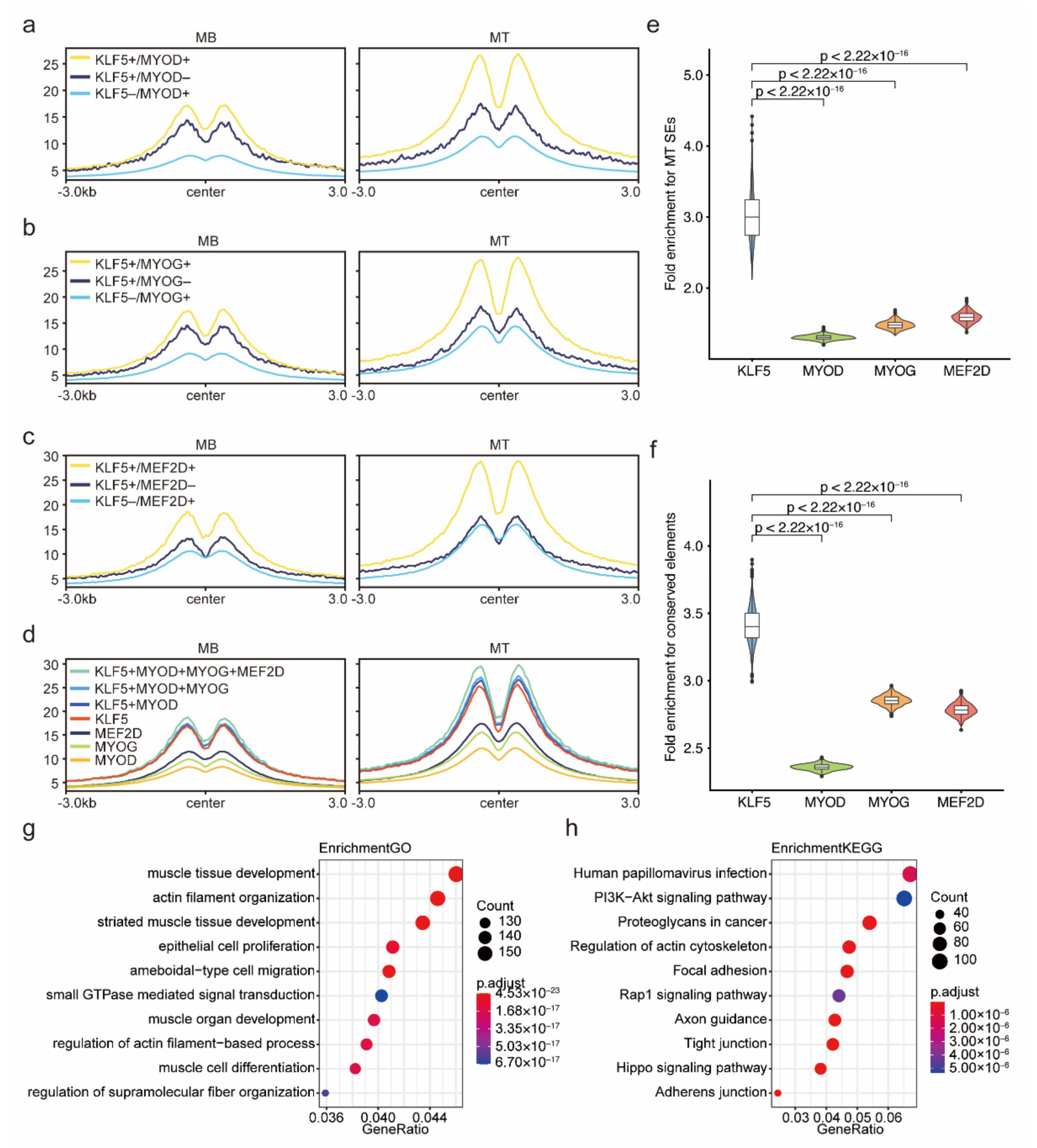 Ijms 23 06002 g008 550
