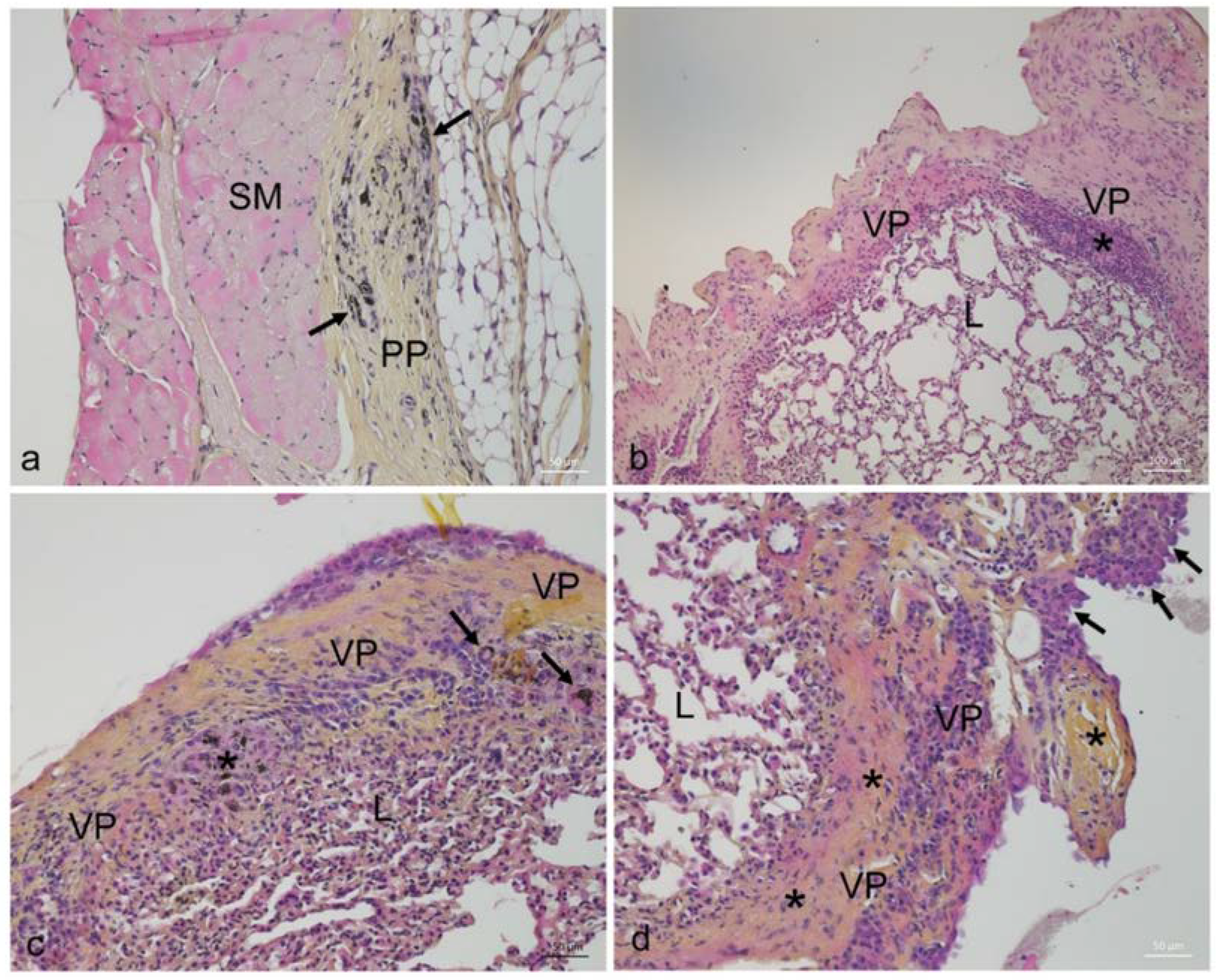 Ijms 23 06005 g001 550