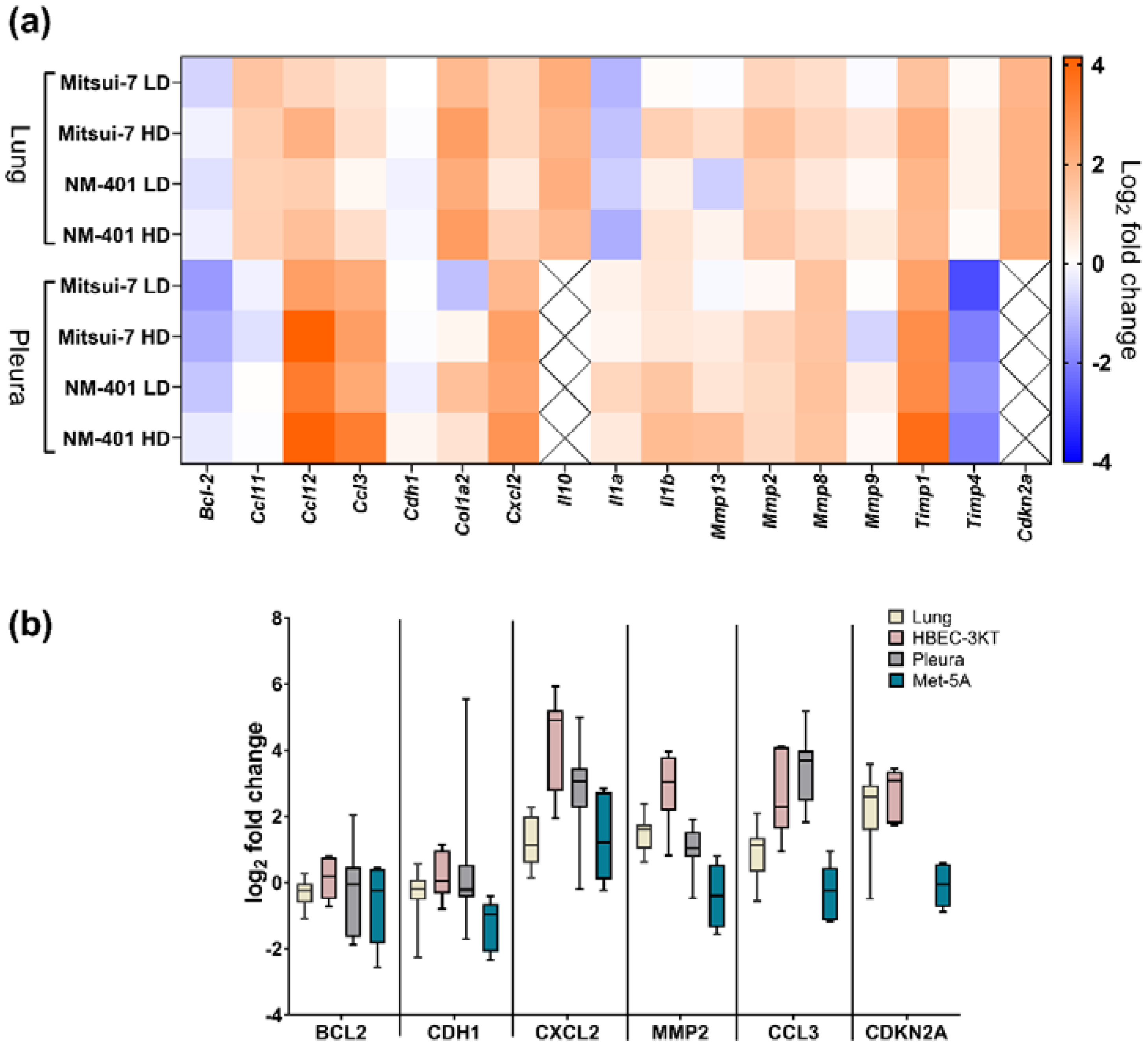 Ijms 23 06005 g002 550