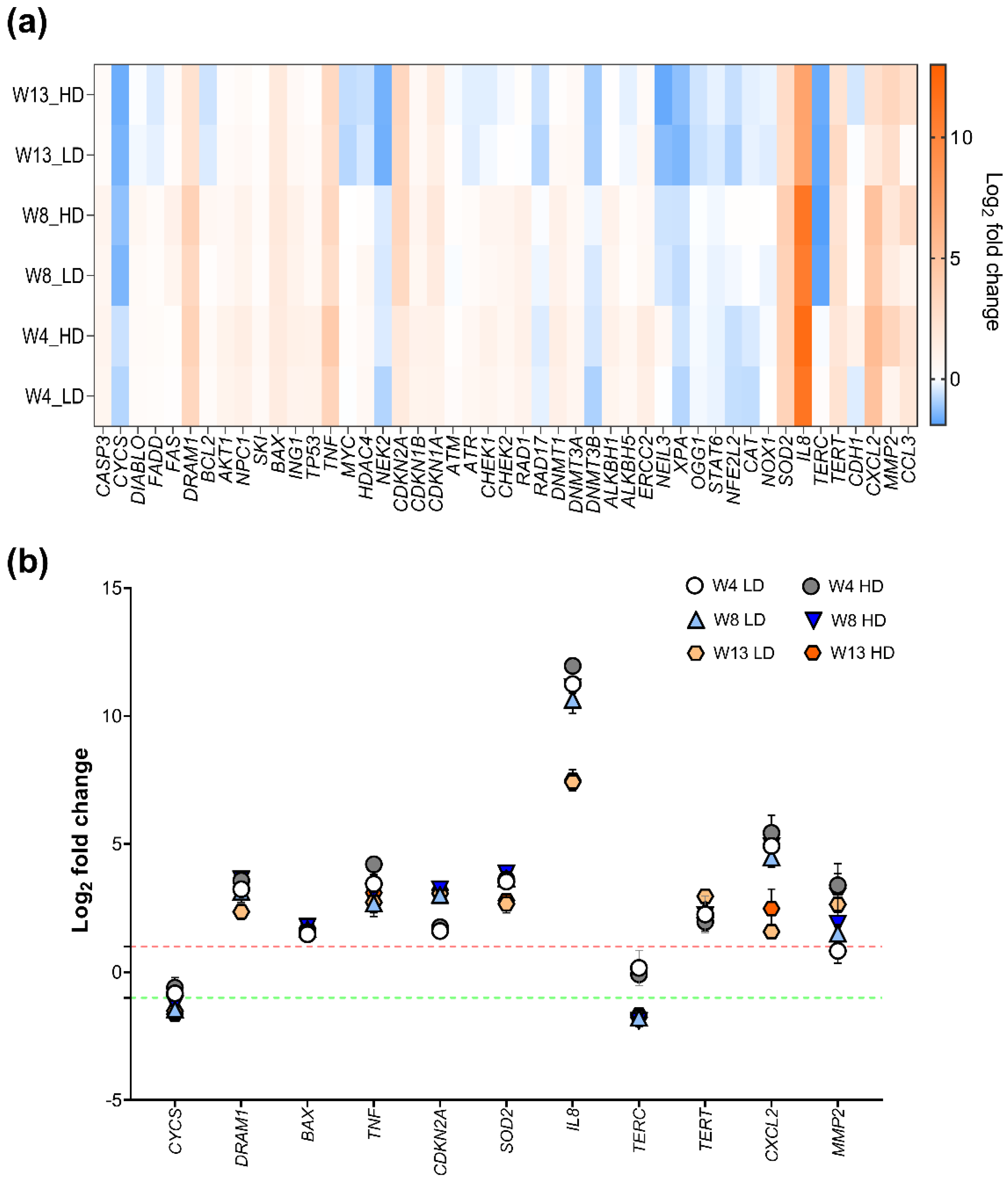 Ijms 23 06005 g004 550