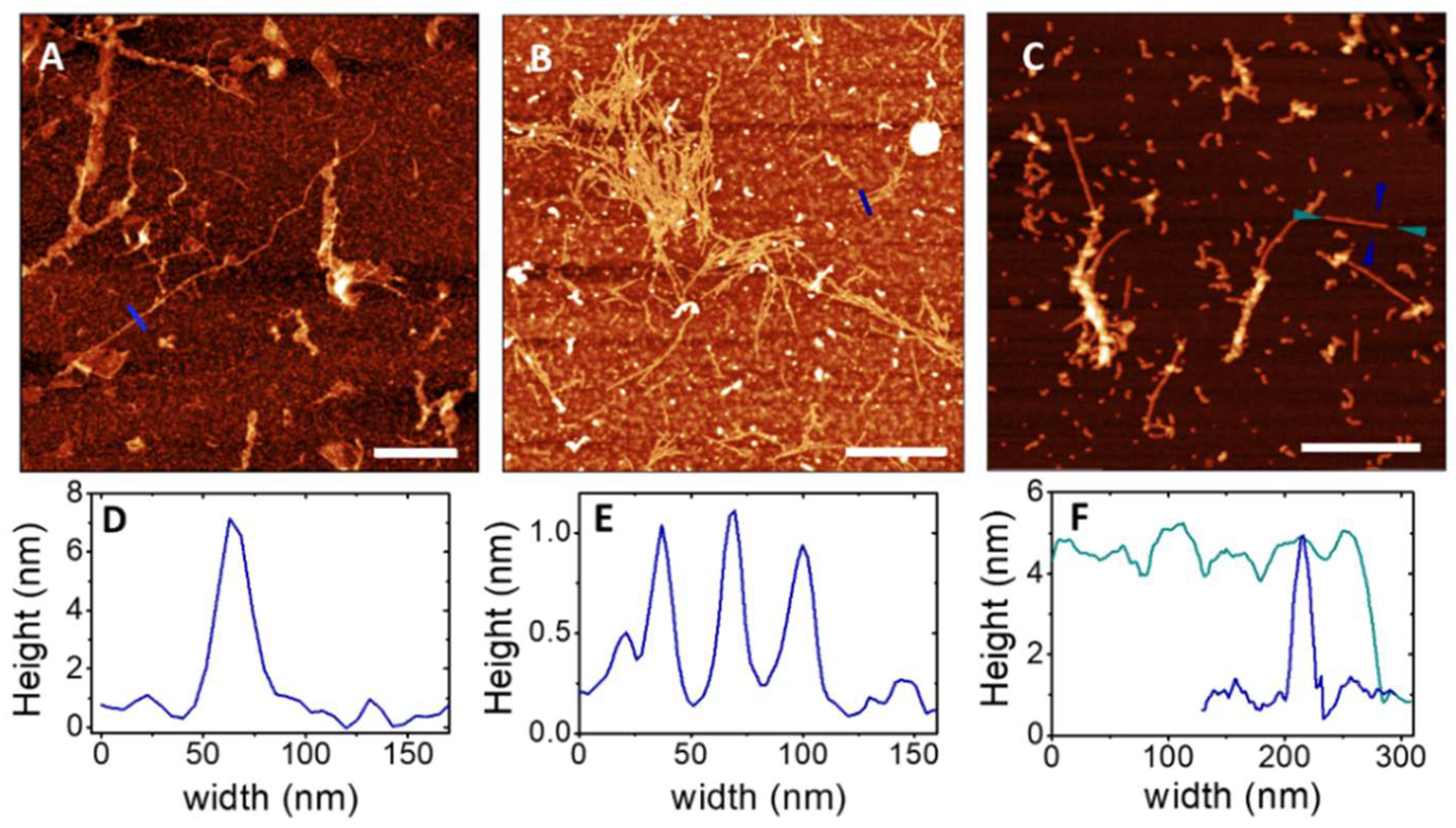 Ijms 23 06007 g008 550