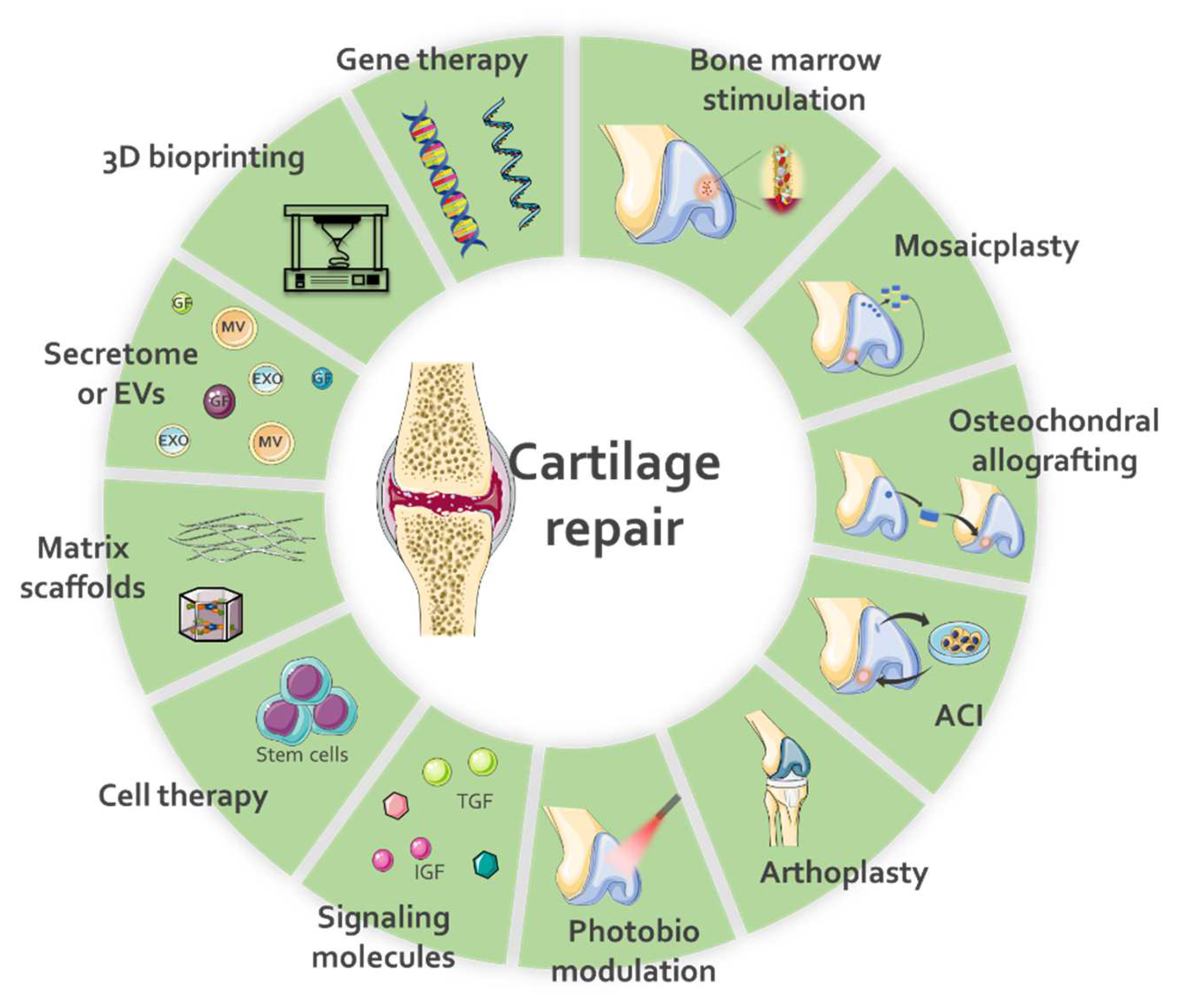 Functionalized Hydrogels for Cartilage Repair: The Value of