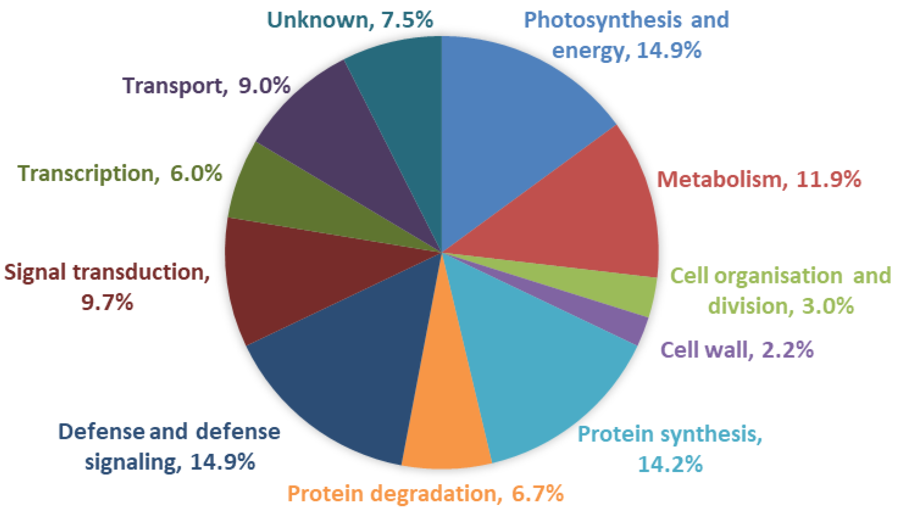 Ijms 23 06012 g001 Ijms 23 06012 g001