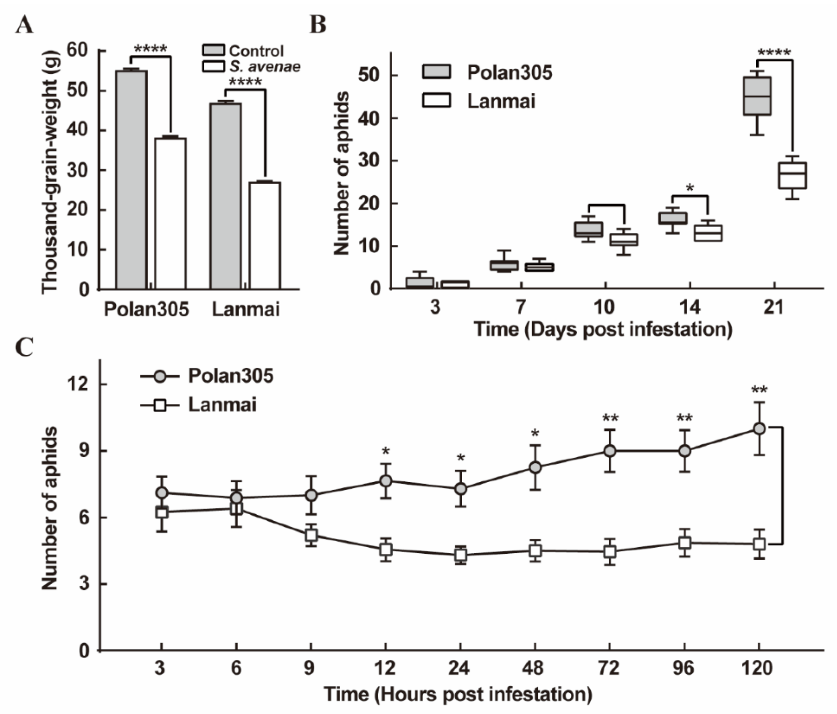 Ijms 23 06012 g004 Ijms 23 06012 g004