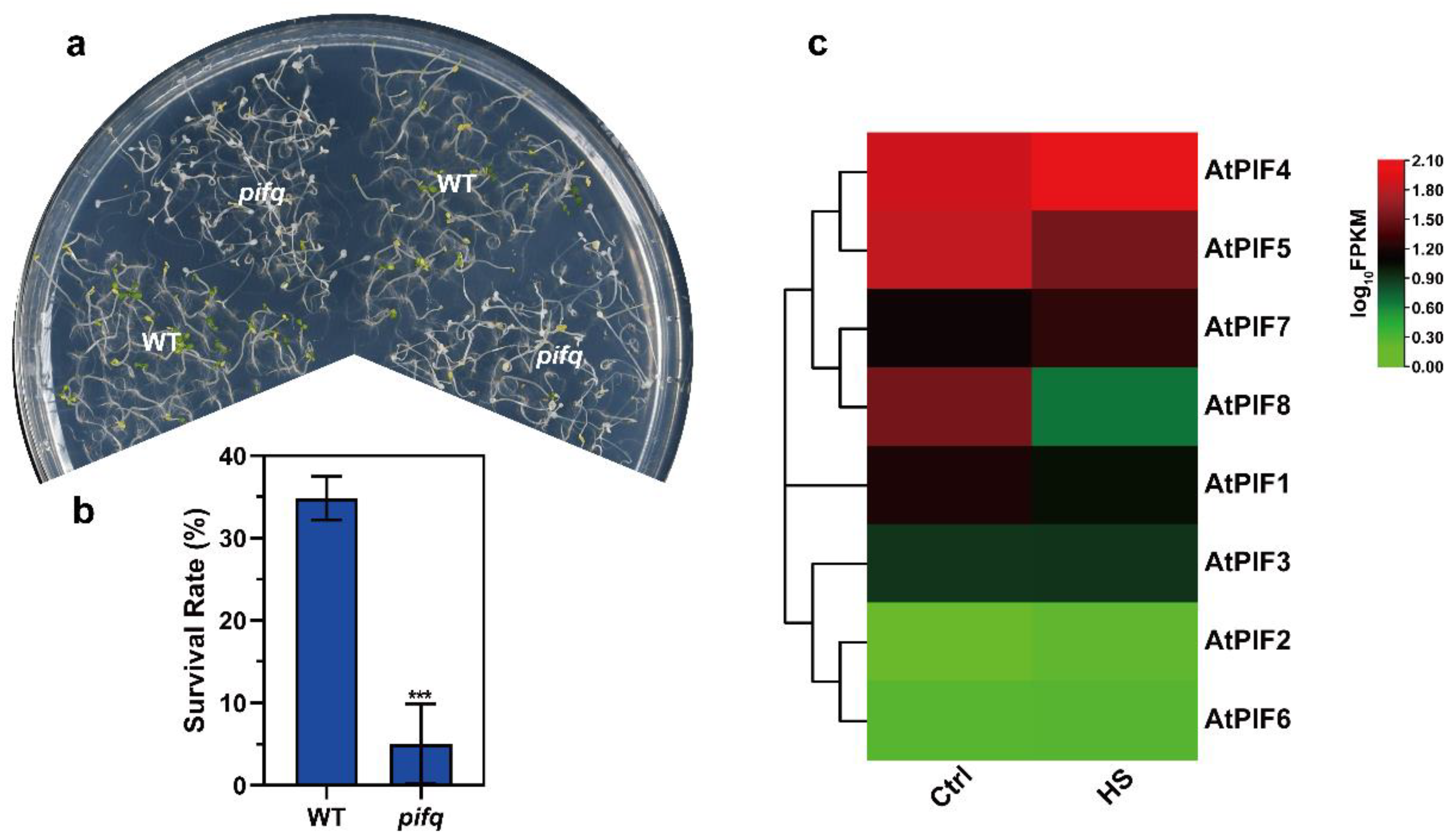 Ijms 23 06017 g002 550