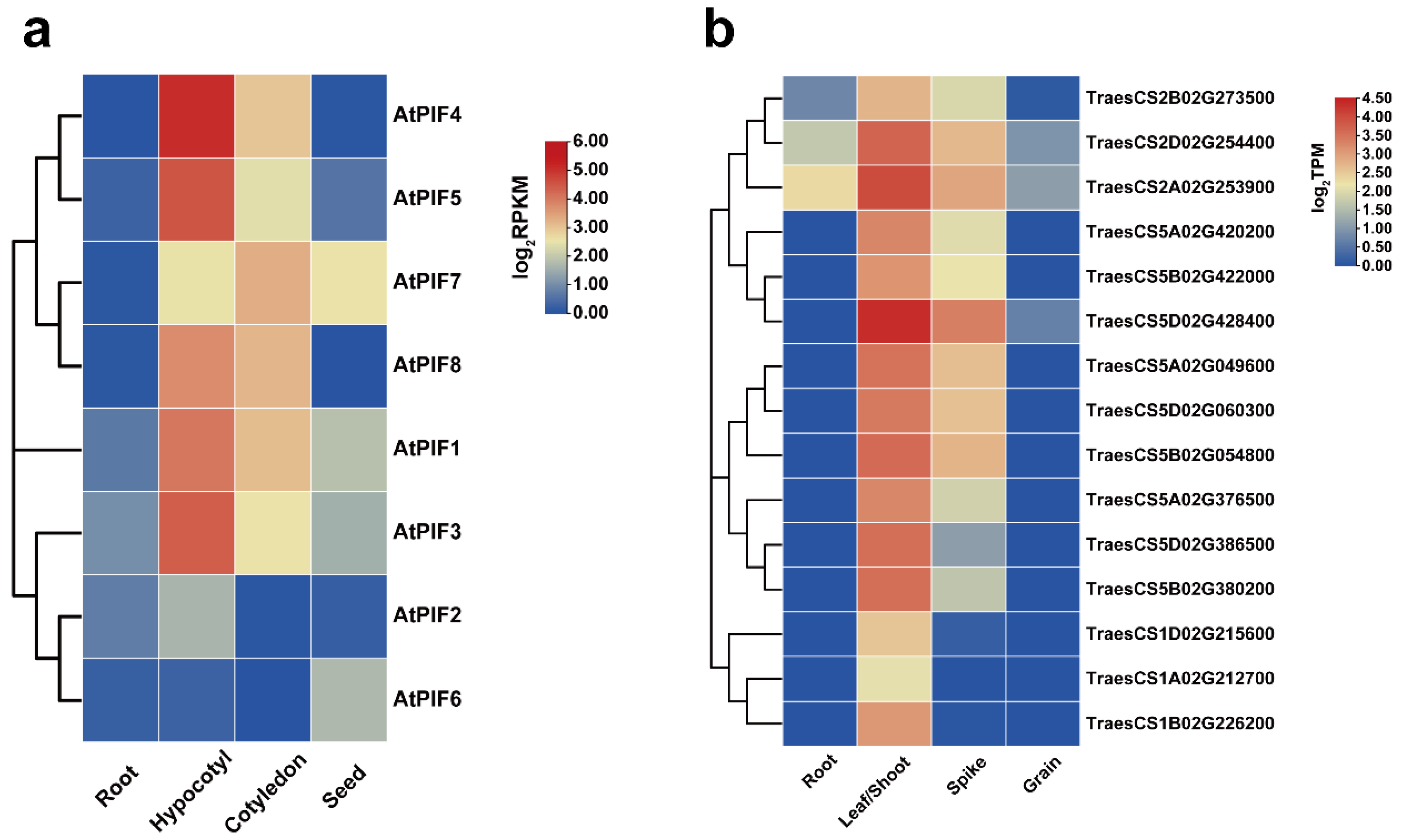 Ijms 23 06017 g003 550