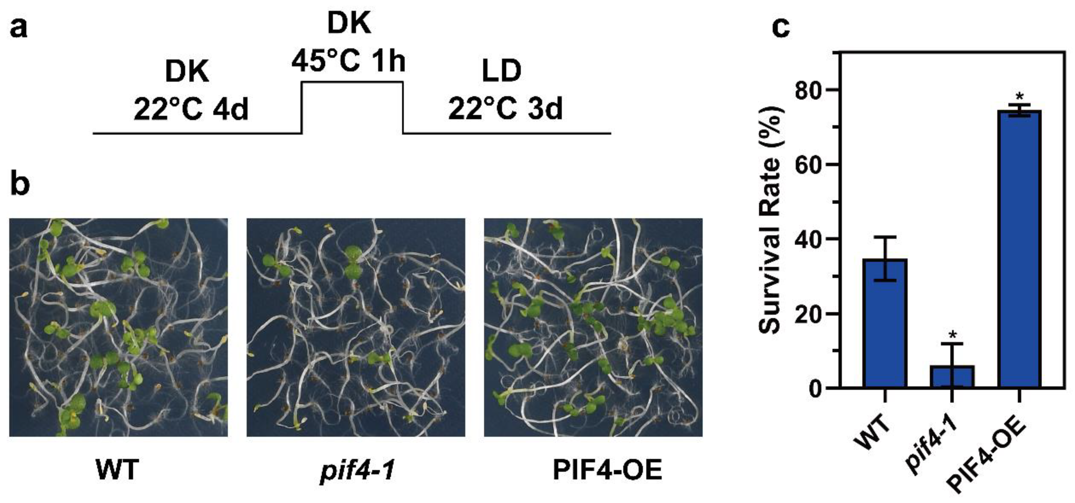 Ijms 23 06017 g005 550