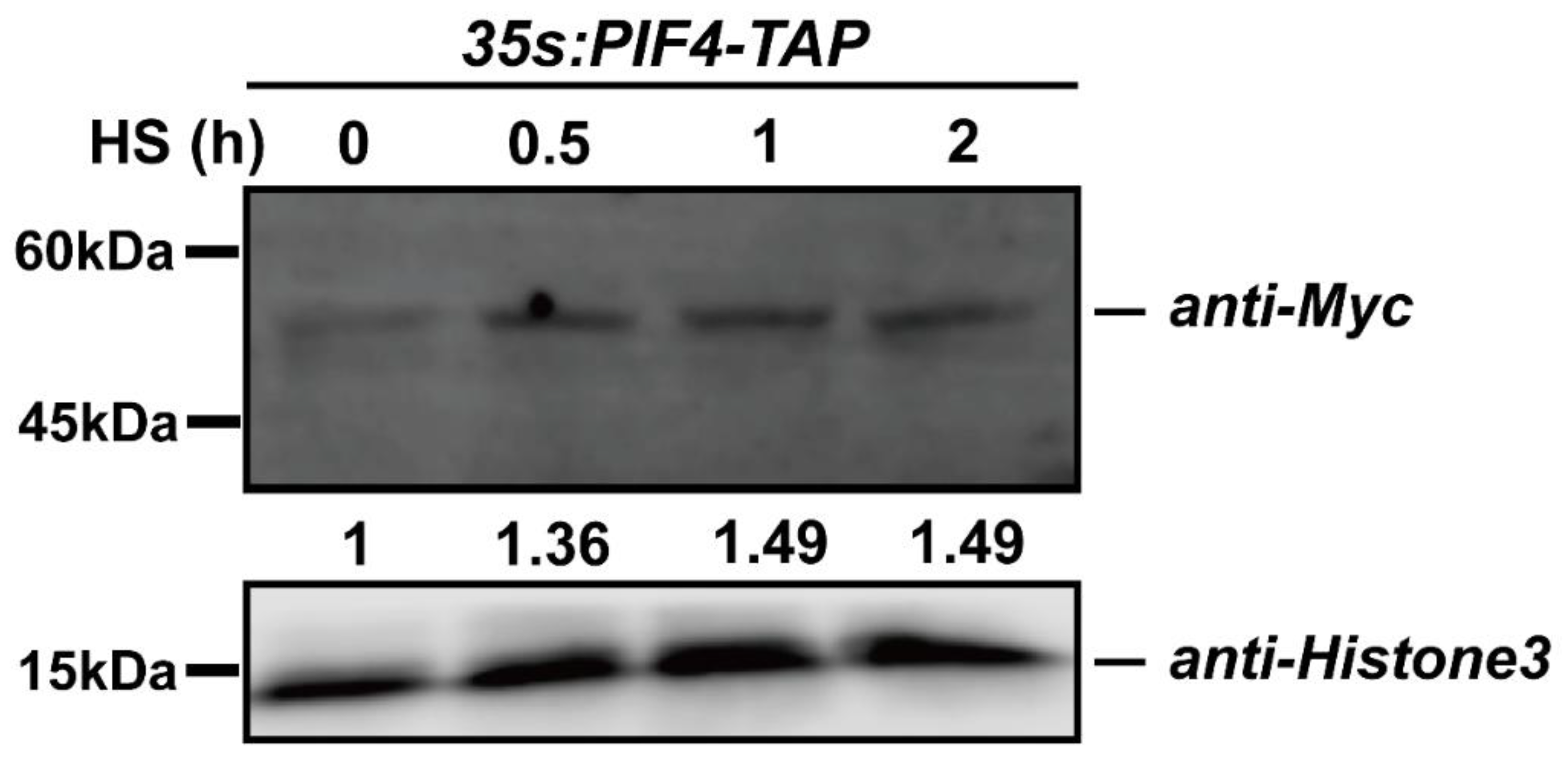 Ijms 23 06017 g006 550