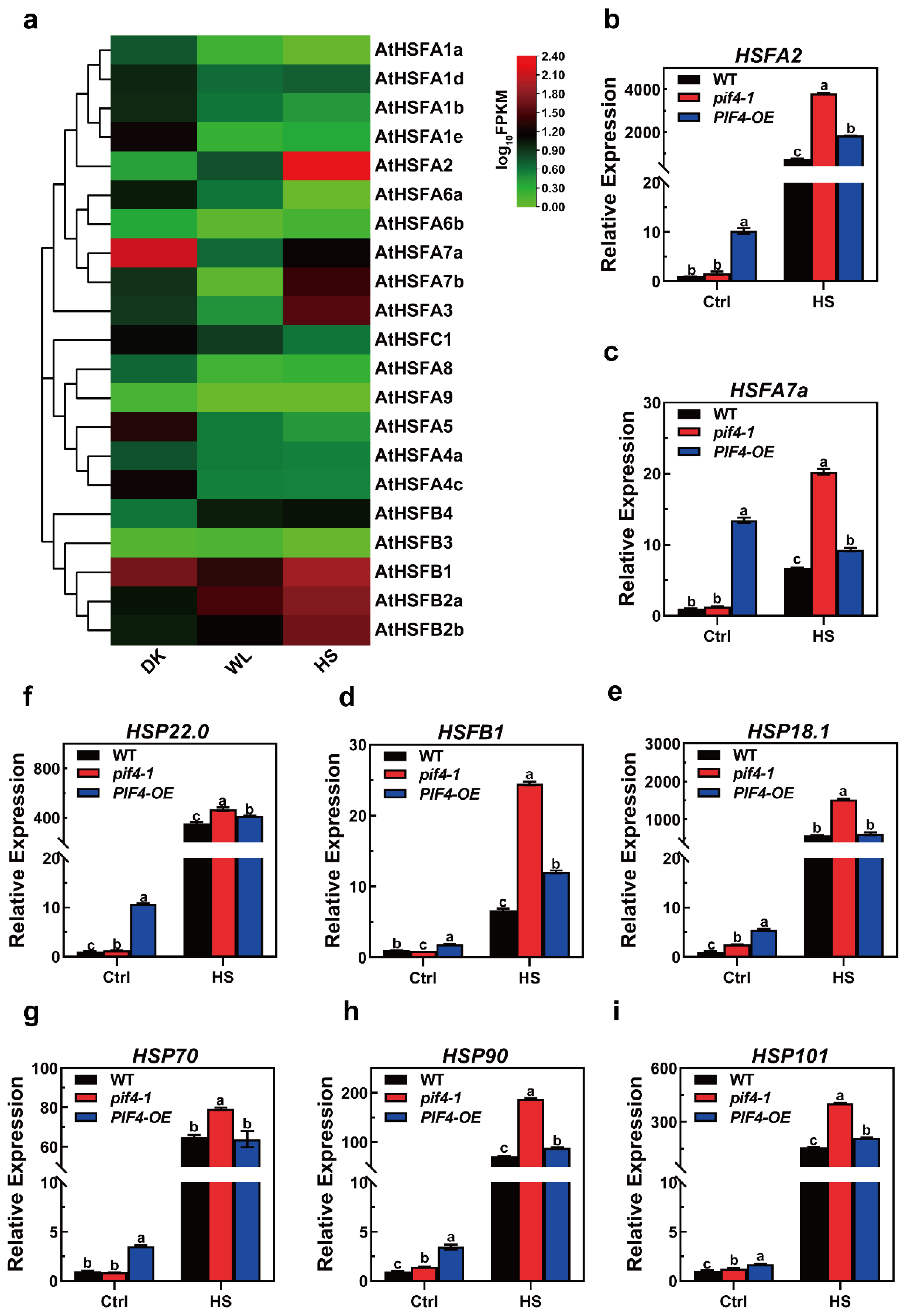 Ijms 23 06017 g007 550