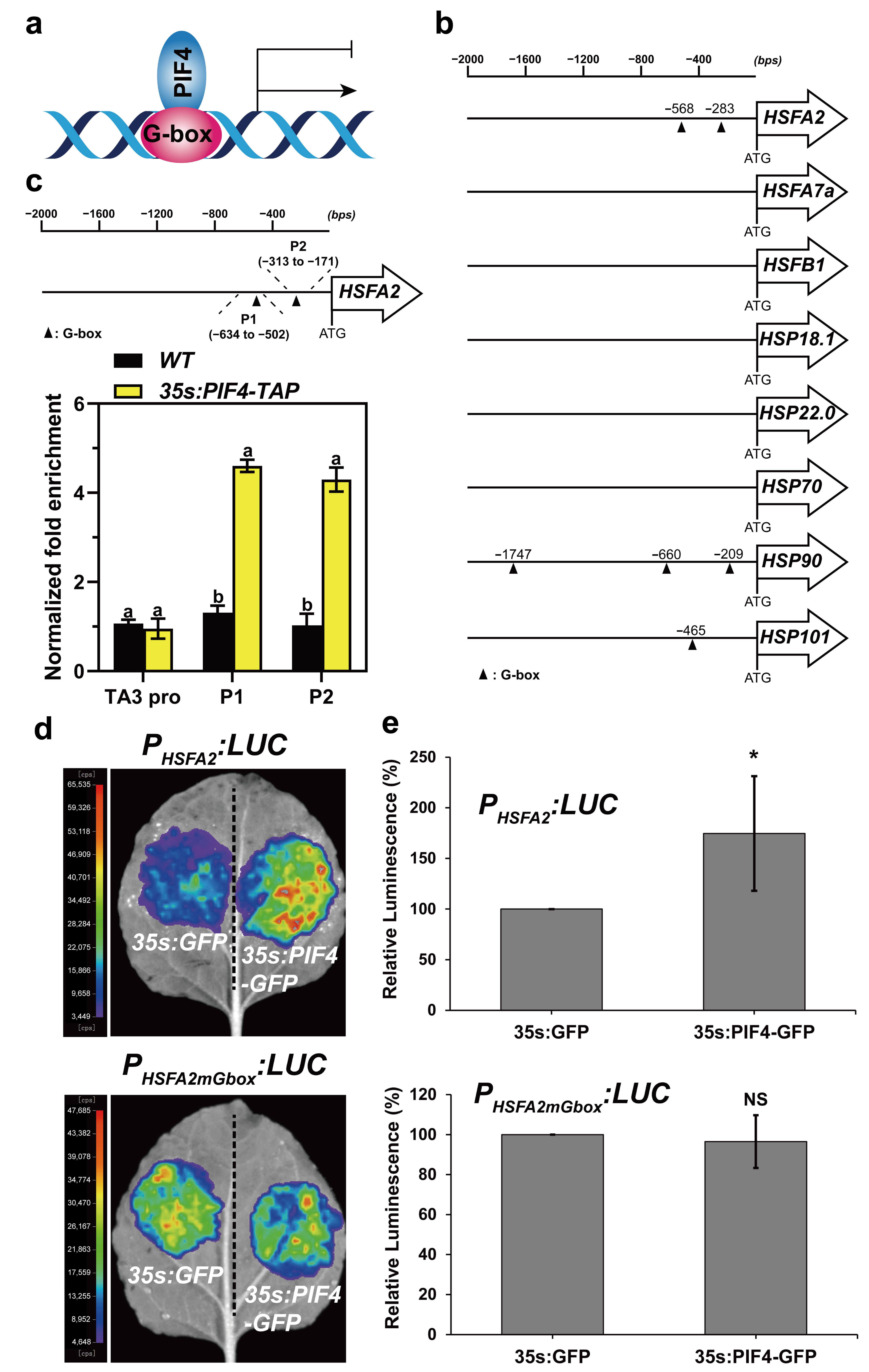 Ijms 23 06017 g008 550