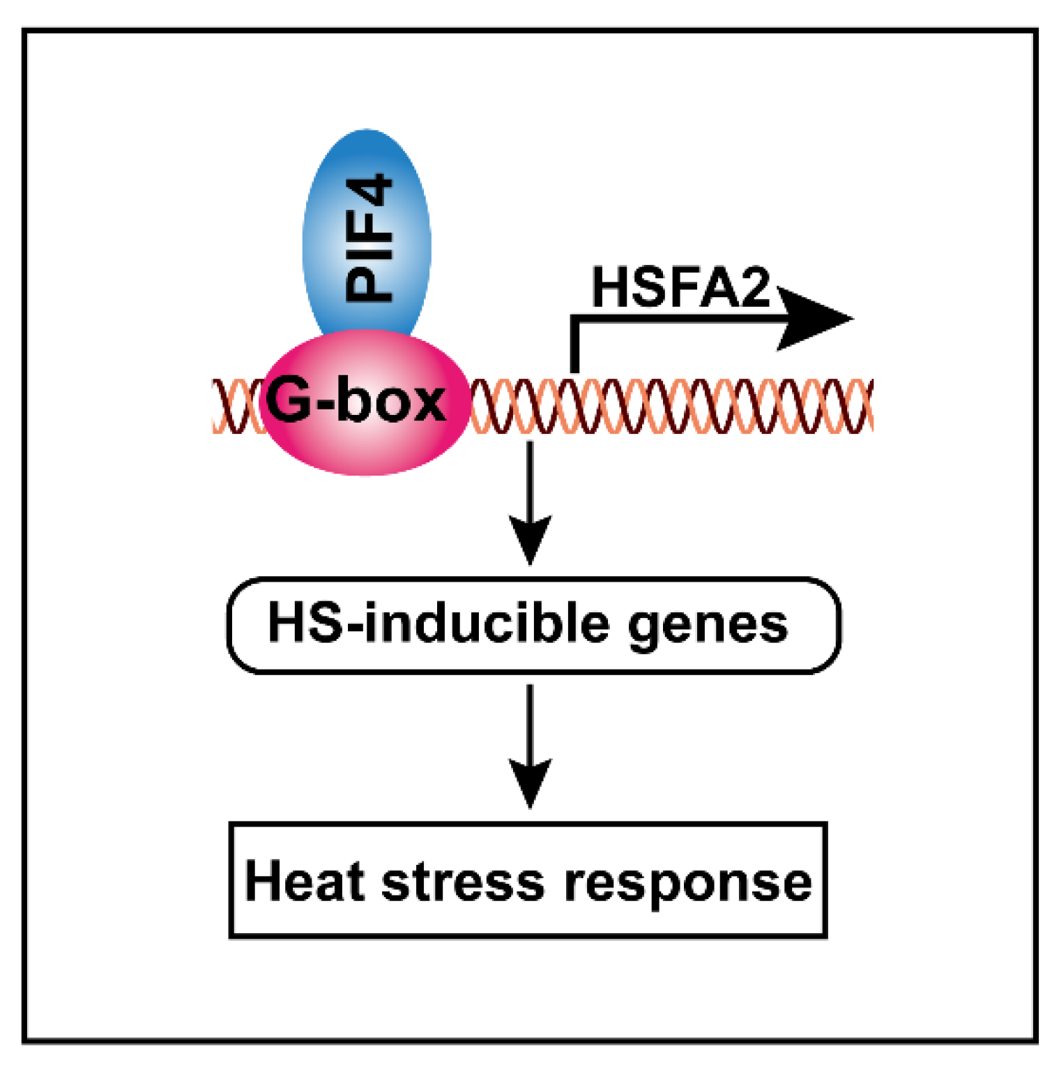 Ijms 23 06017 g009 550