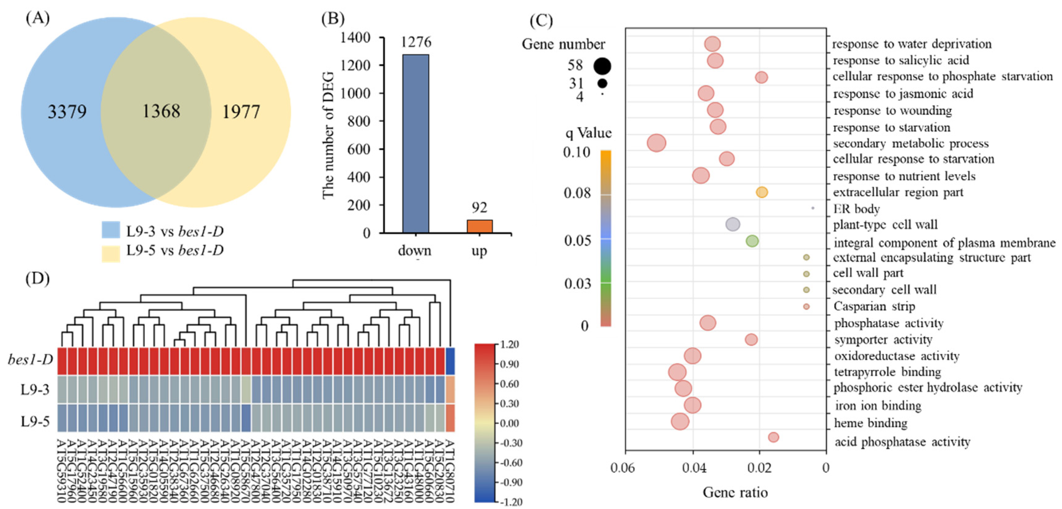 Ijms 23 06025 g007 550