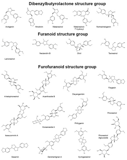 Lignans as Pharmacological Agents in Disorders Related to