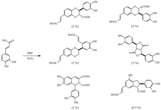 Lignans as Pharmacological Agents in Disorders Related to