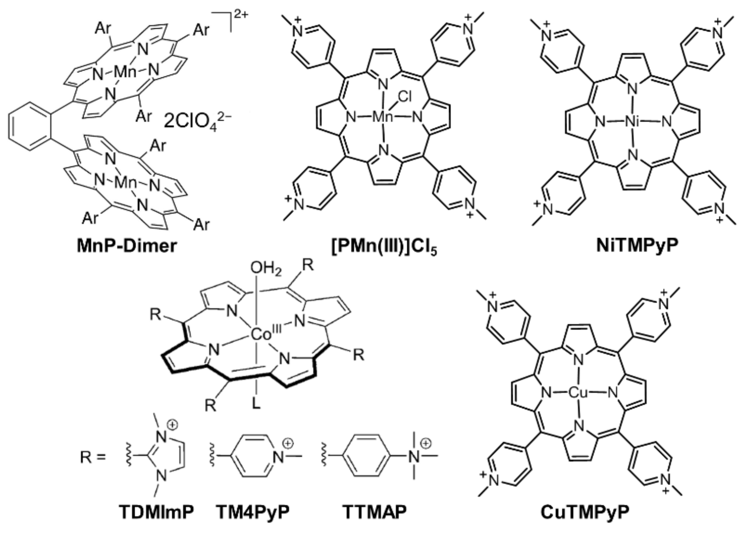 Ijms 23 06036 g002 550
