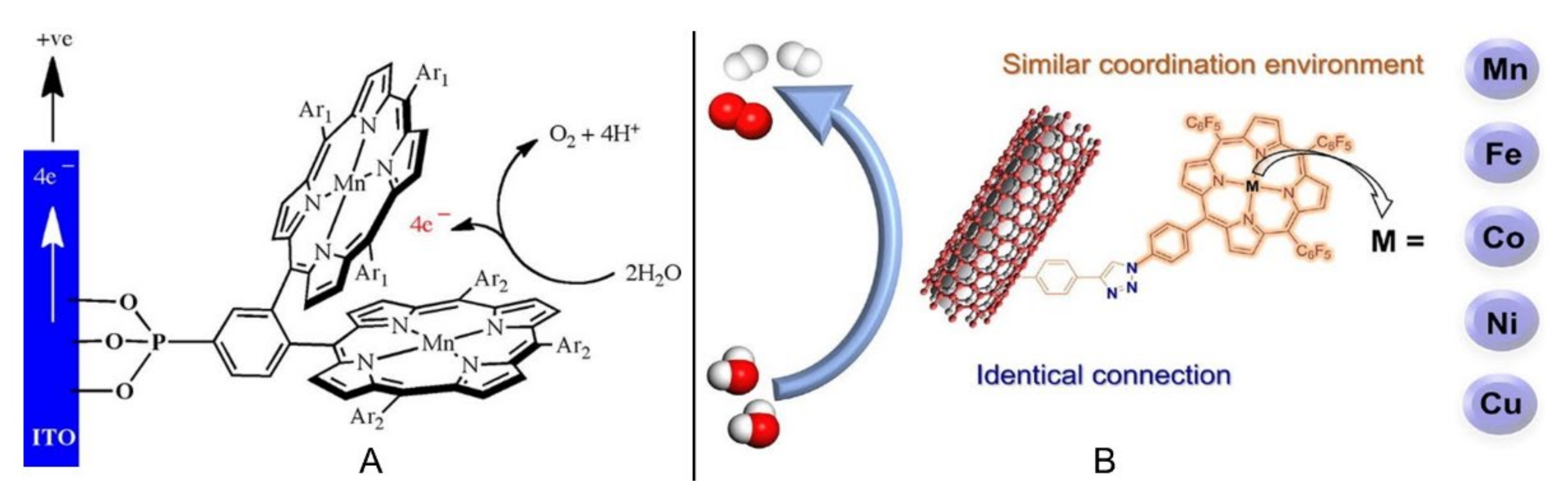 Ijms 23 06036 g005 550