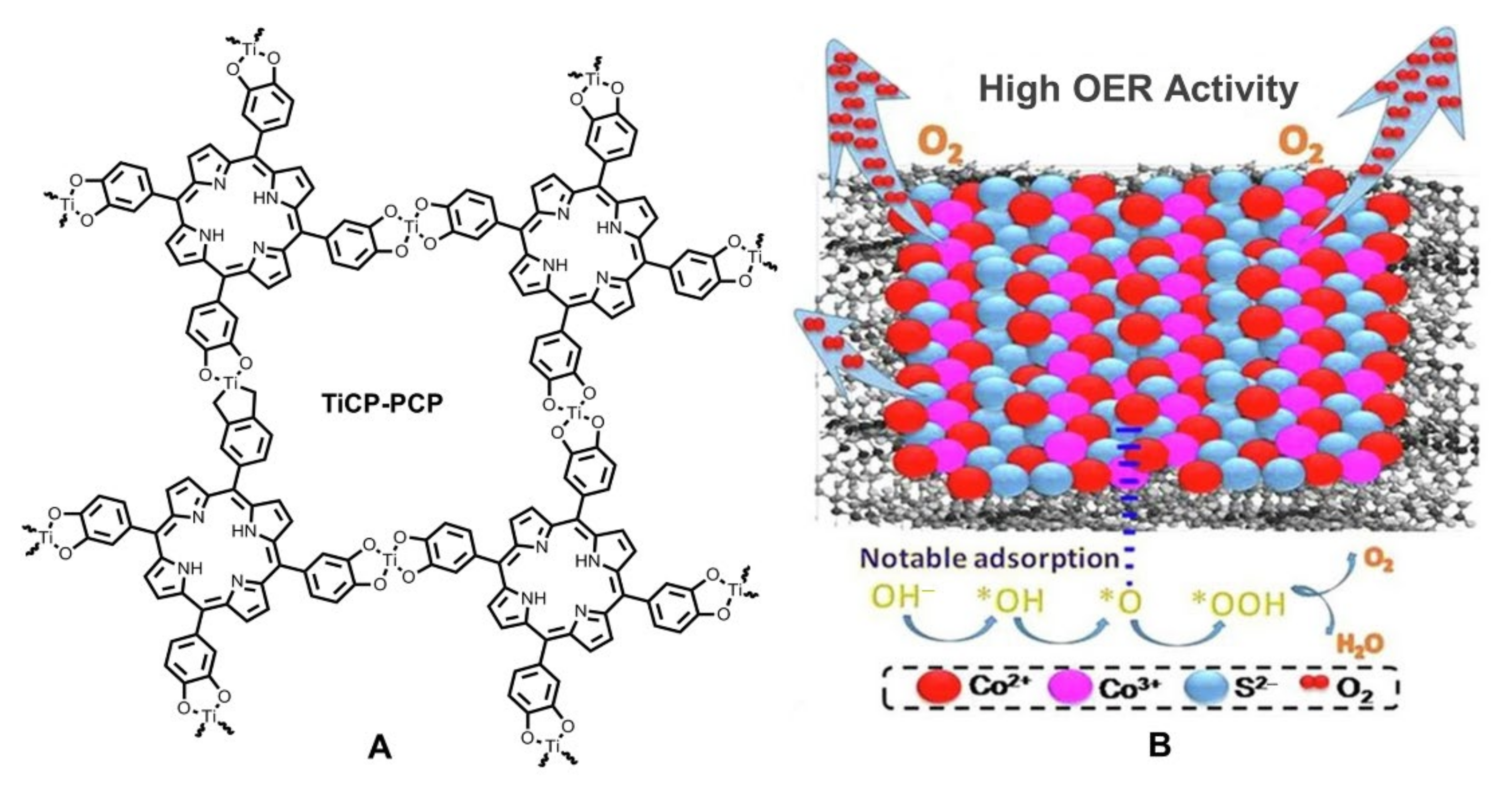 Ijms 23 06036 g007 550