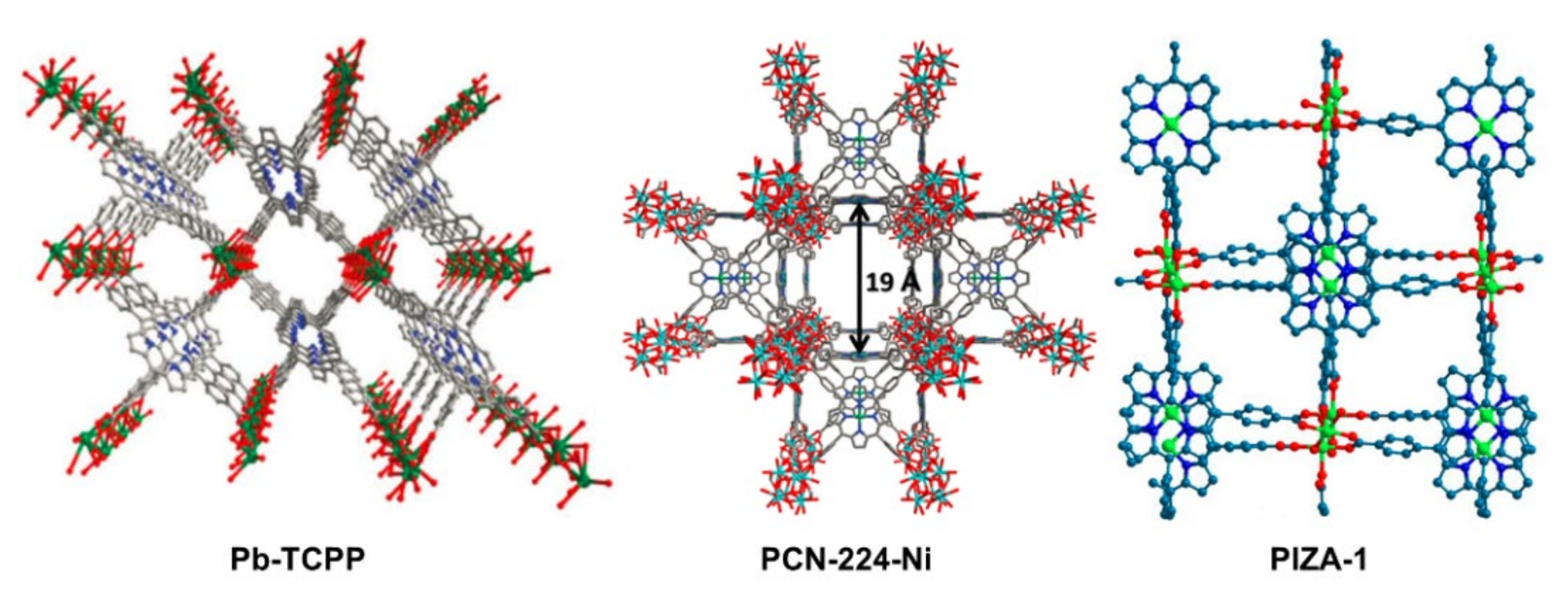 Ijms 23 06036 g008 550