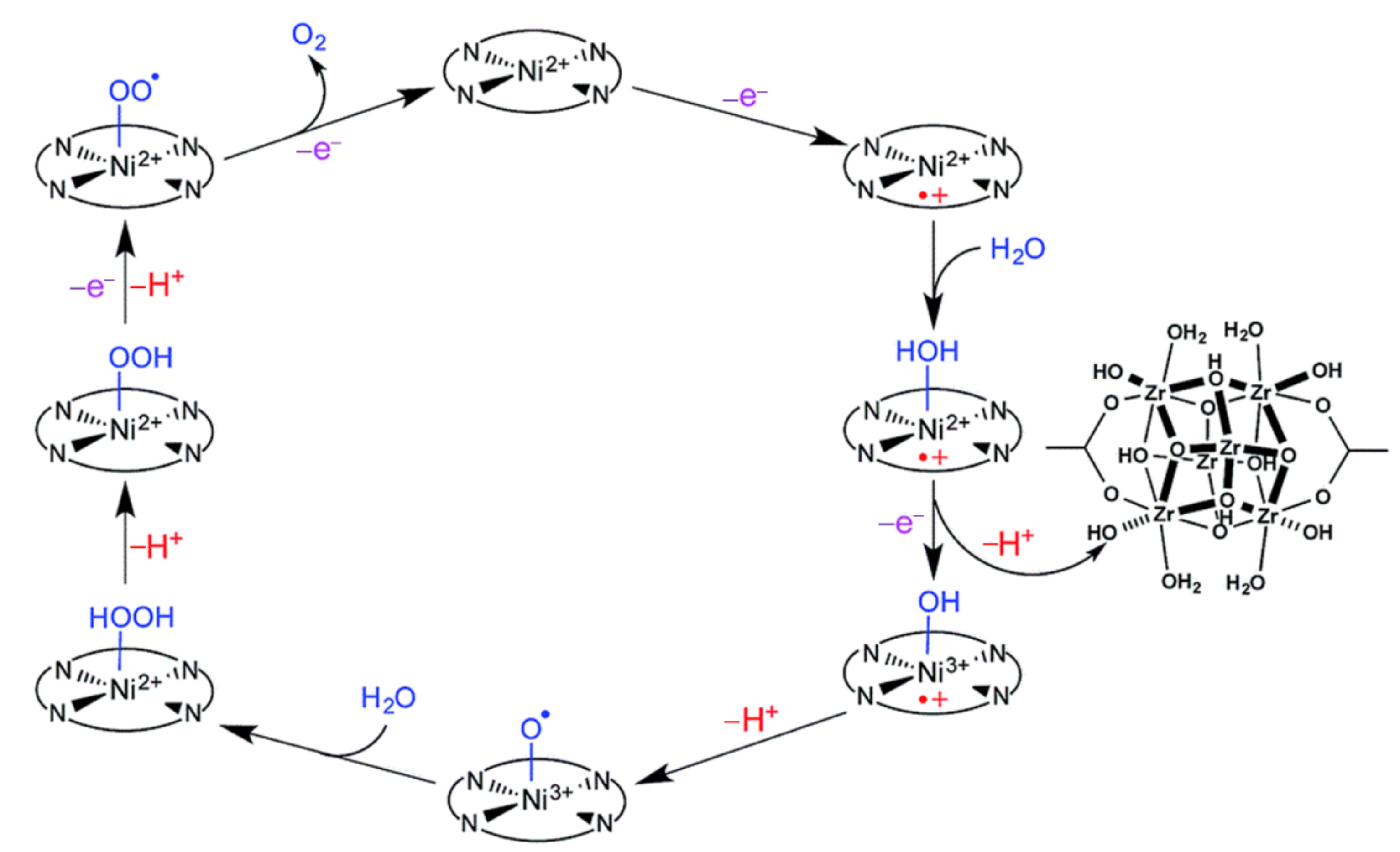 Ijms 23 06036 g009 550