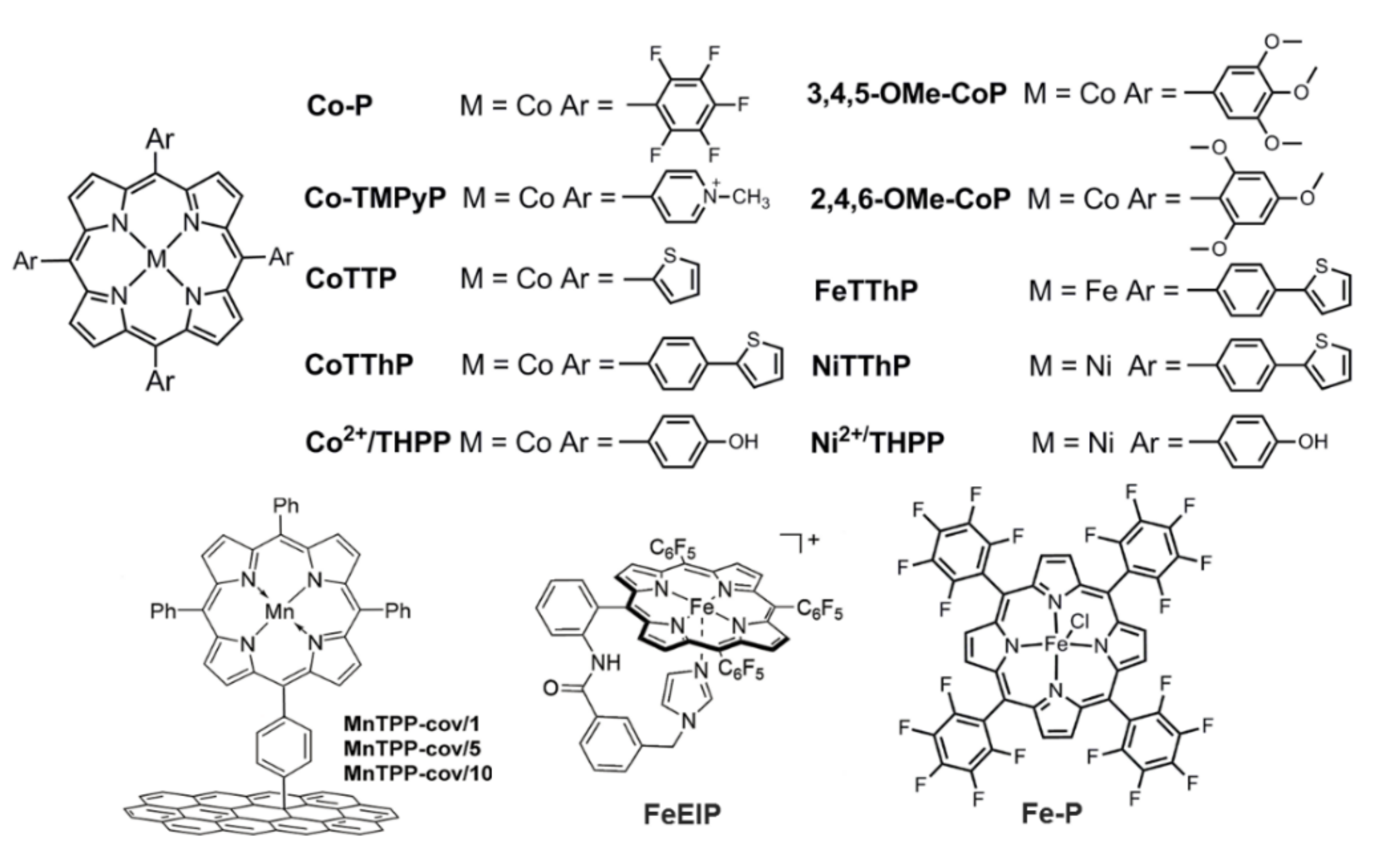 Ijms 23 06036 g014 550