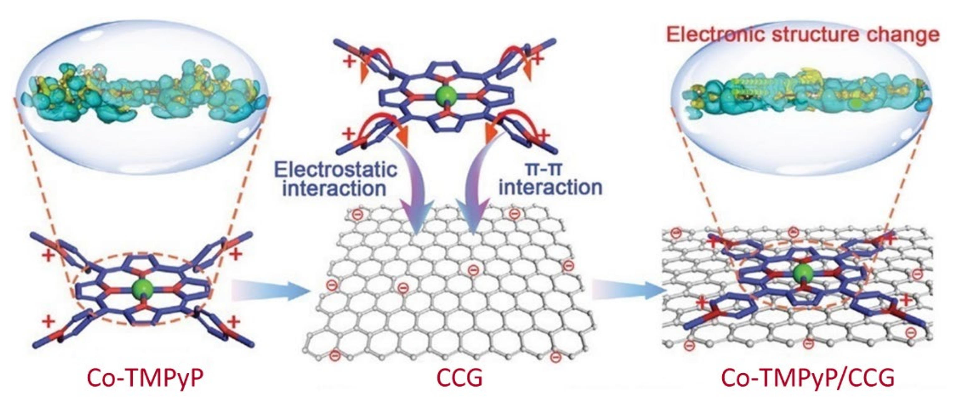 Ijms 23 06036 g015 550