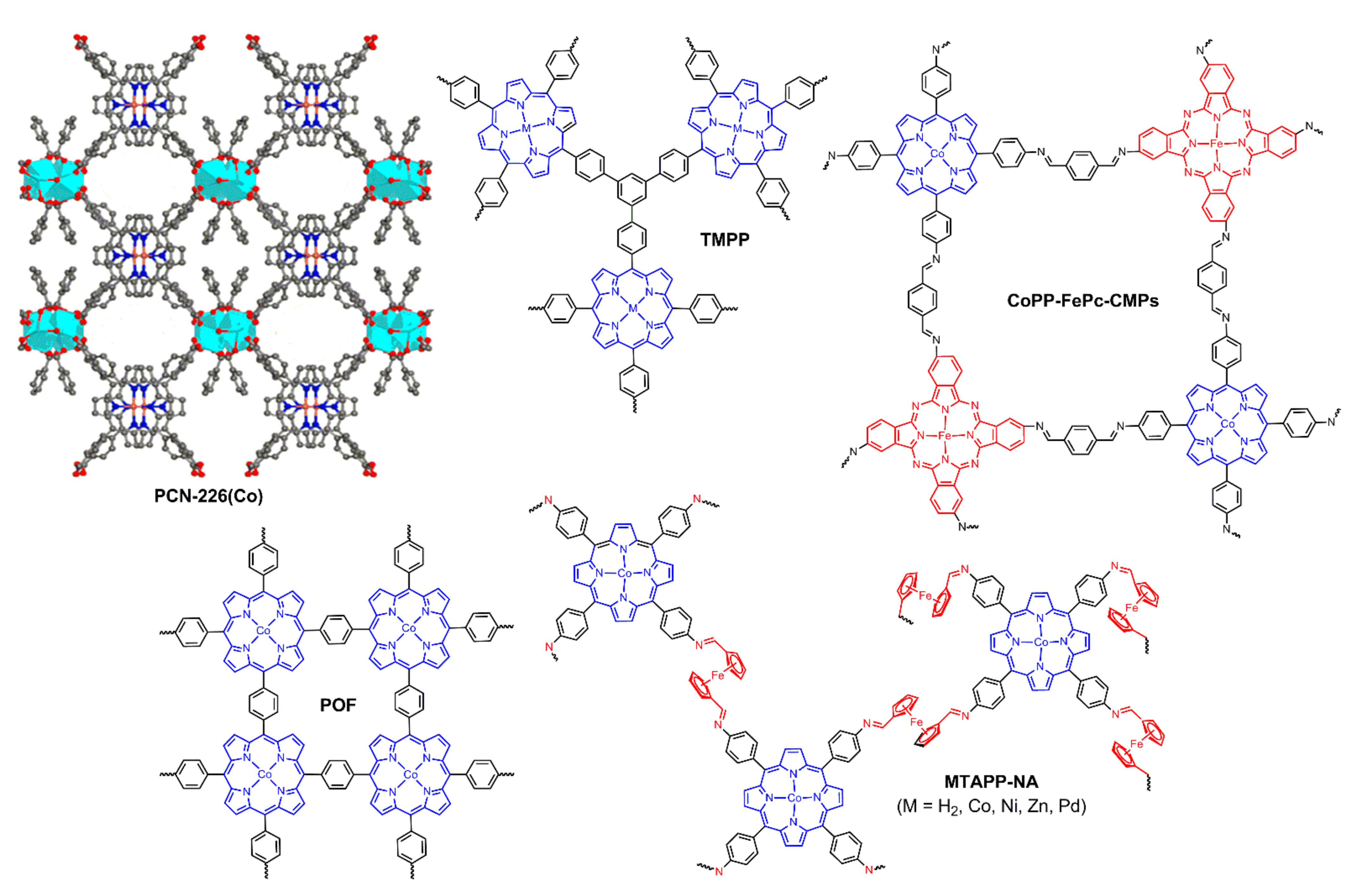 Ijms 23 06036 g016 550