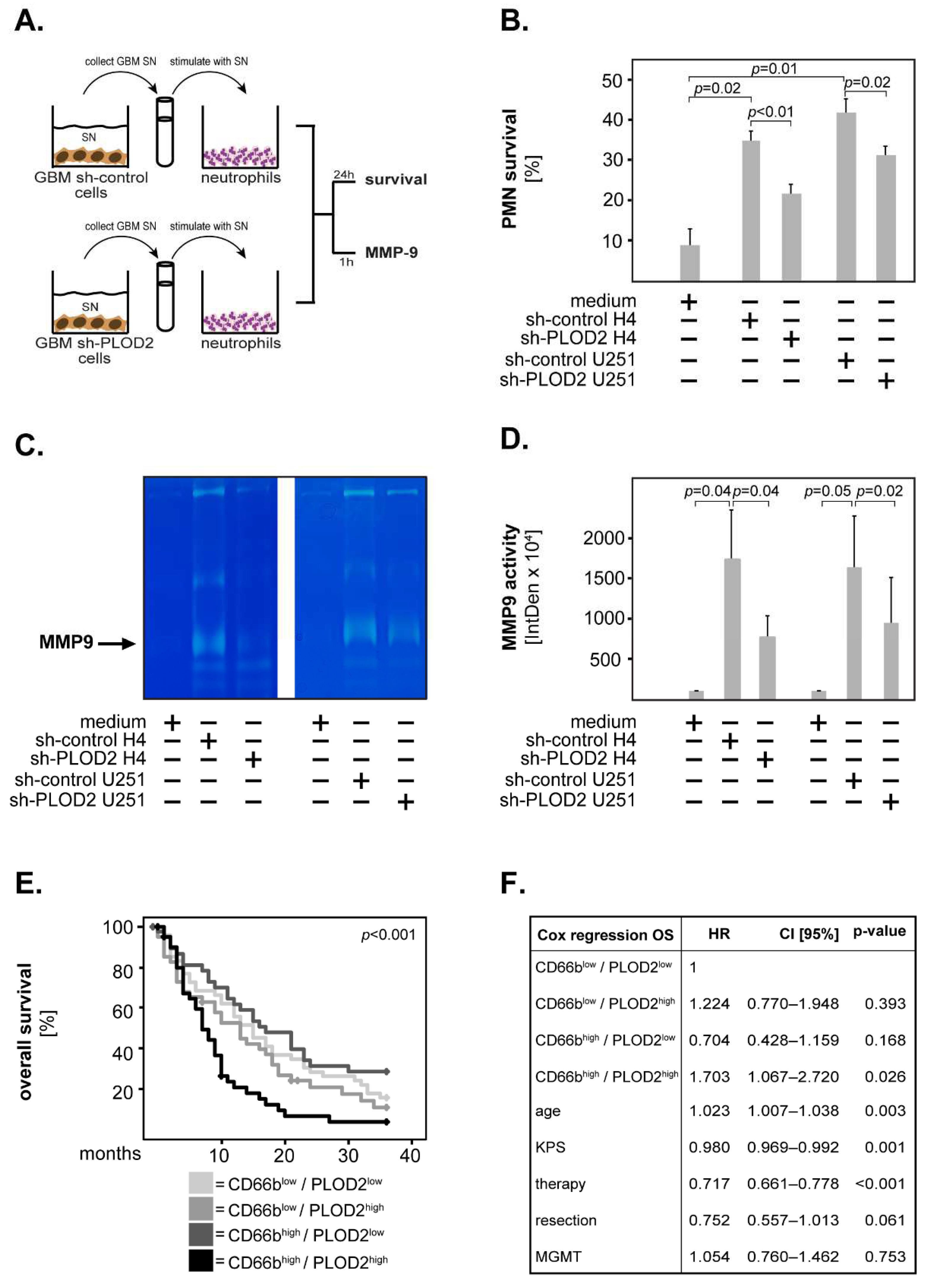 Ijms 23 06037 g006 550