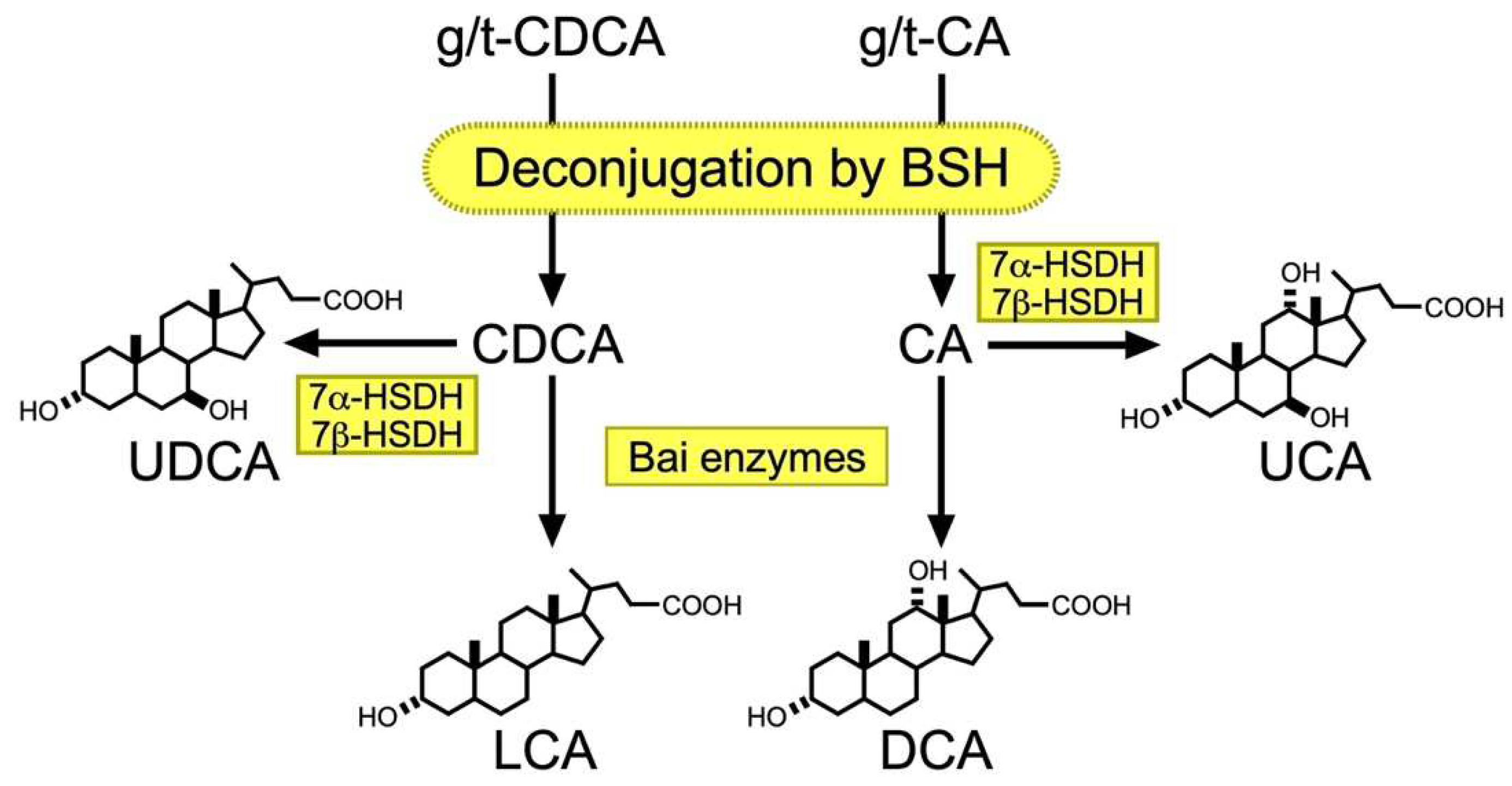 Ijms 23 06046 g002 Ijms 23 06046 g002