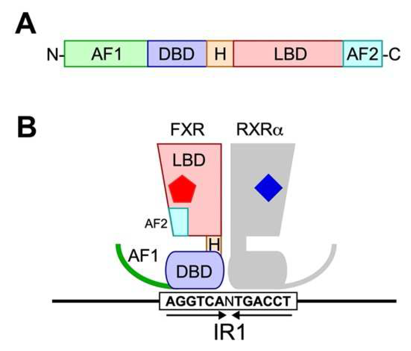 Ijms 23 06046 g003 Ijms 23 06046 g003