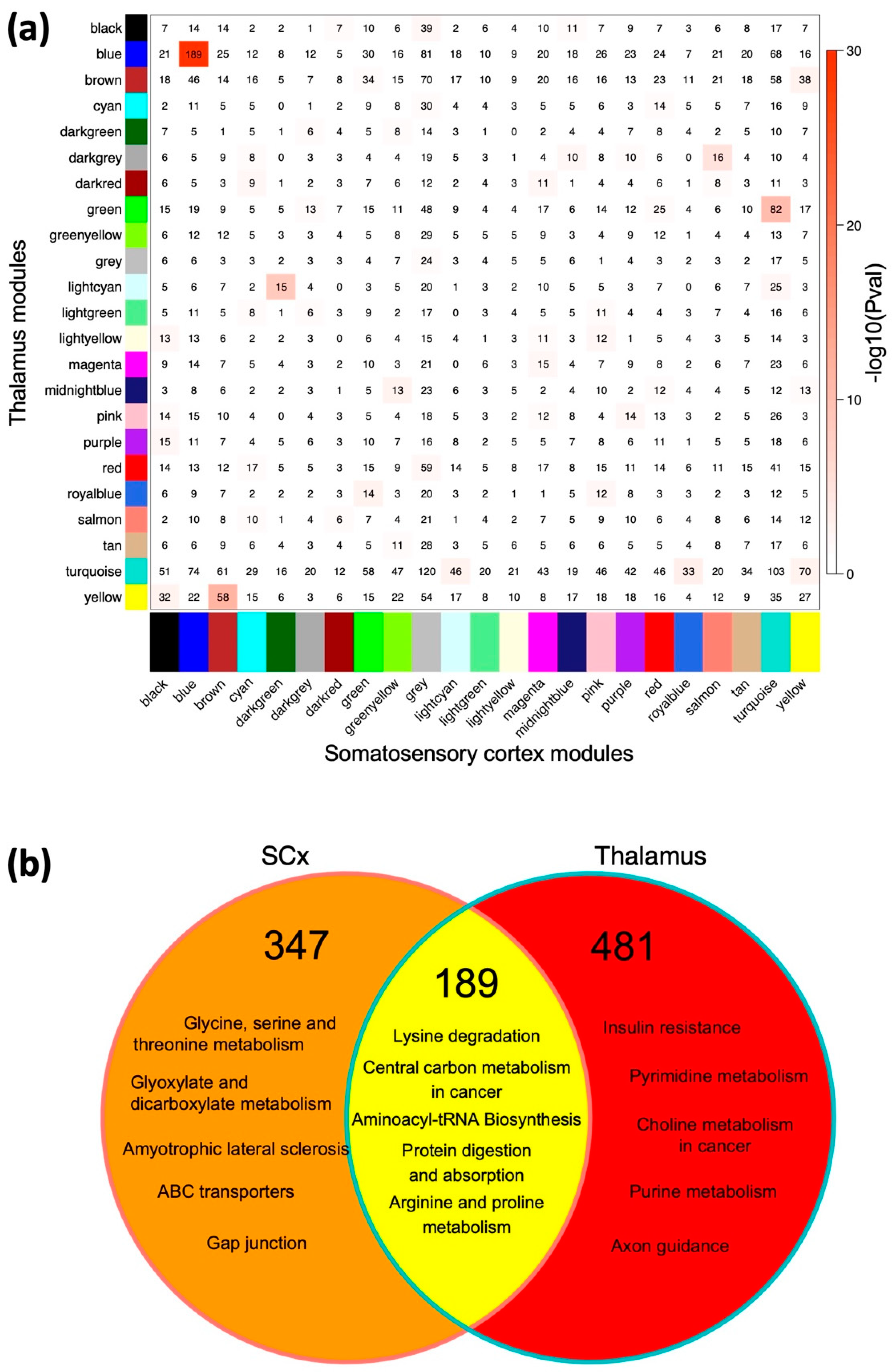 Ijms 23 06063 g005 550