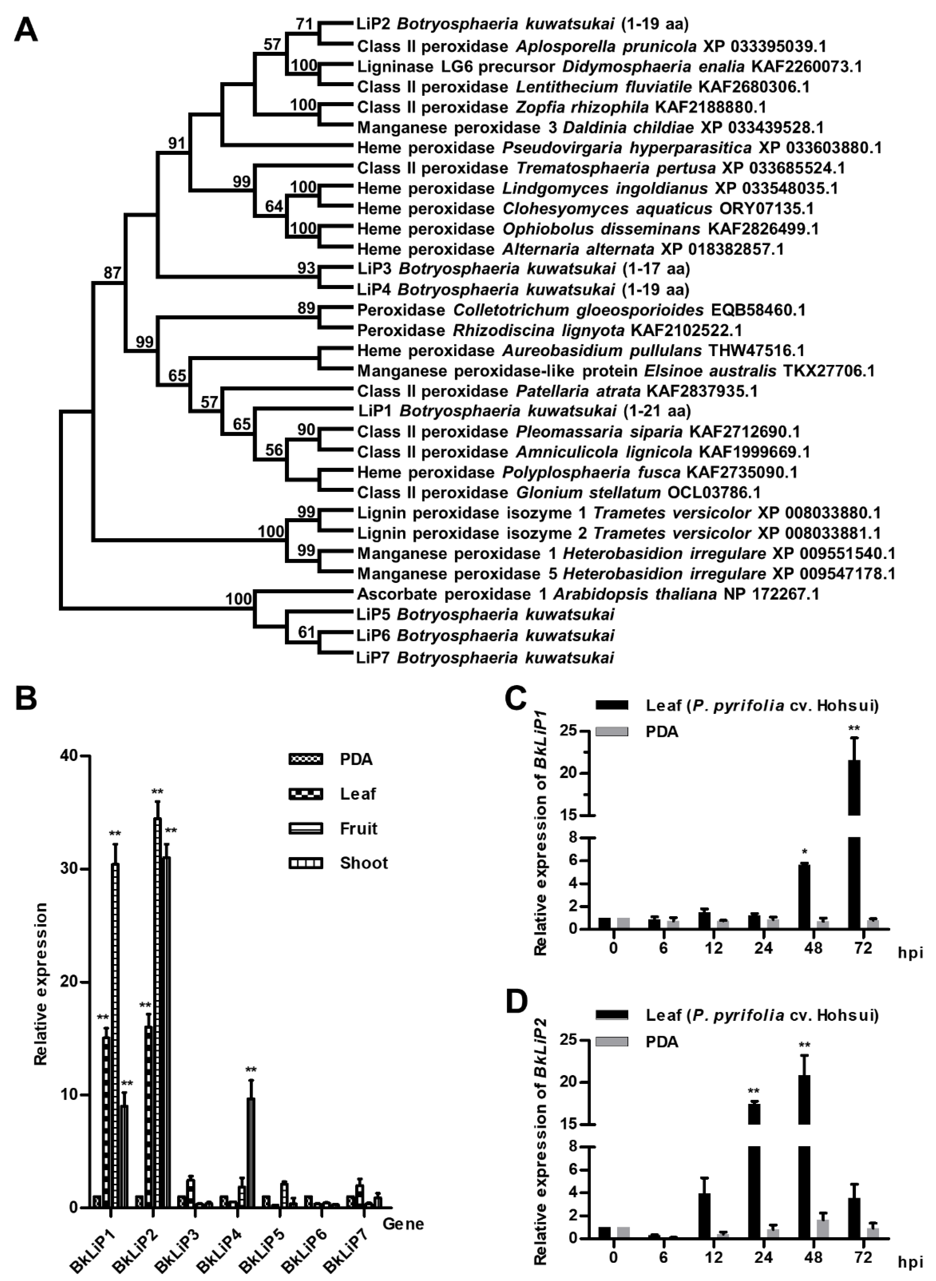 Ijms 23 06066 g001 Ijms 23 06066 g001