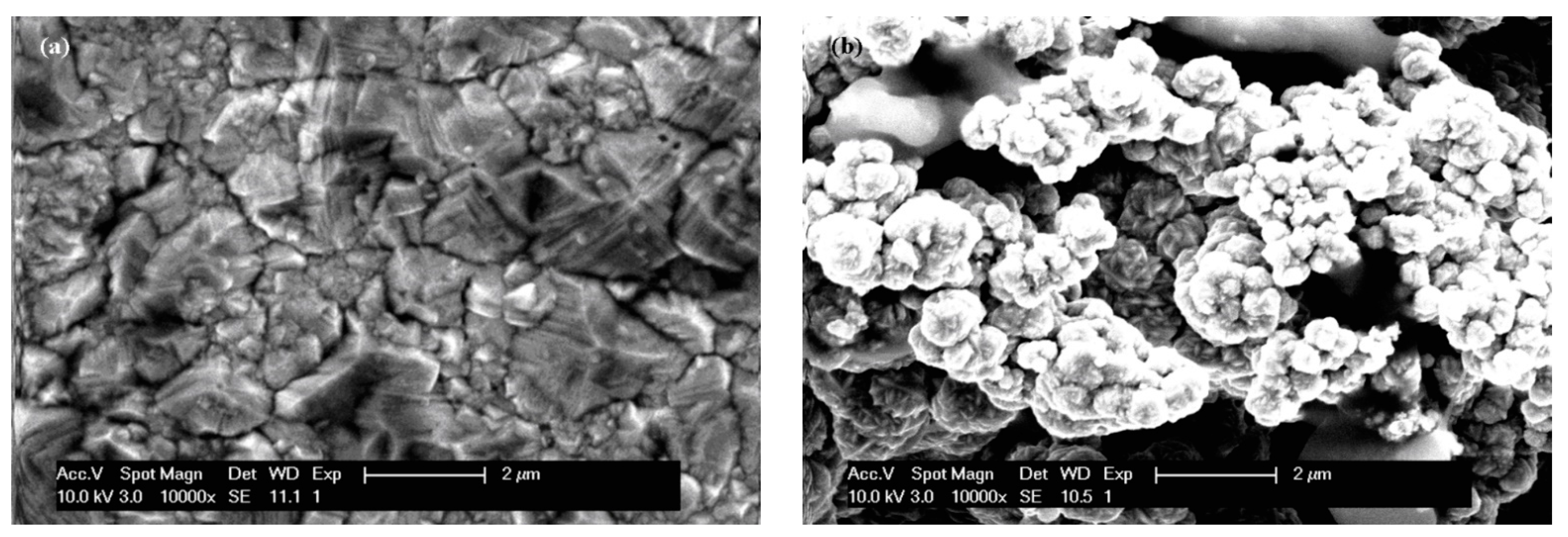 Ijms 23 06069 g001 550